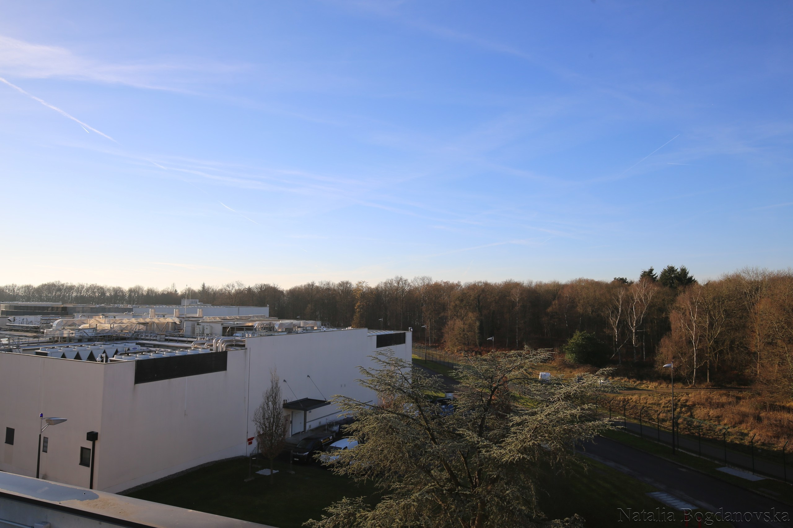 Entreprise. Natalia Bogdanovska. Films et photographie corporate en France