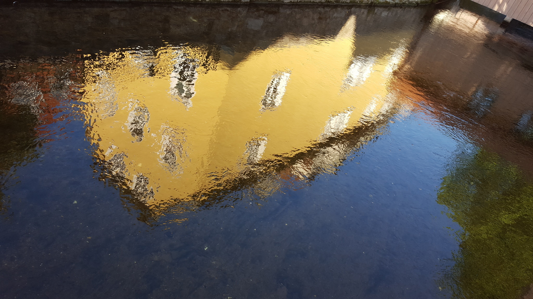 NATURE MORTE et VIVANTE. Natalia Bogdanovska. Films et photographie corporate en France