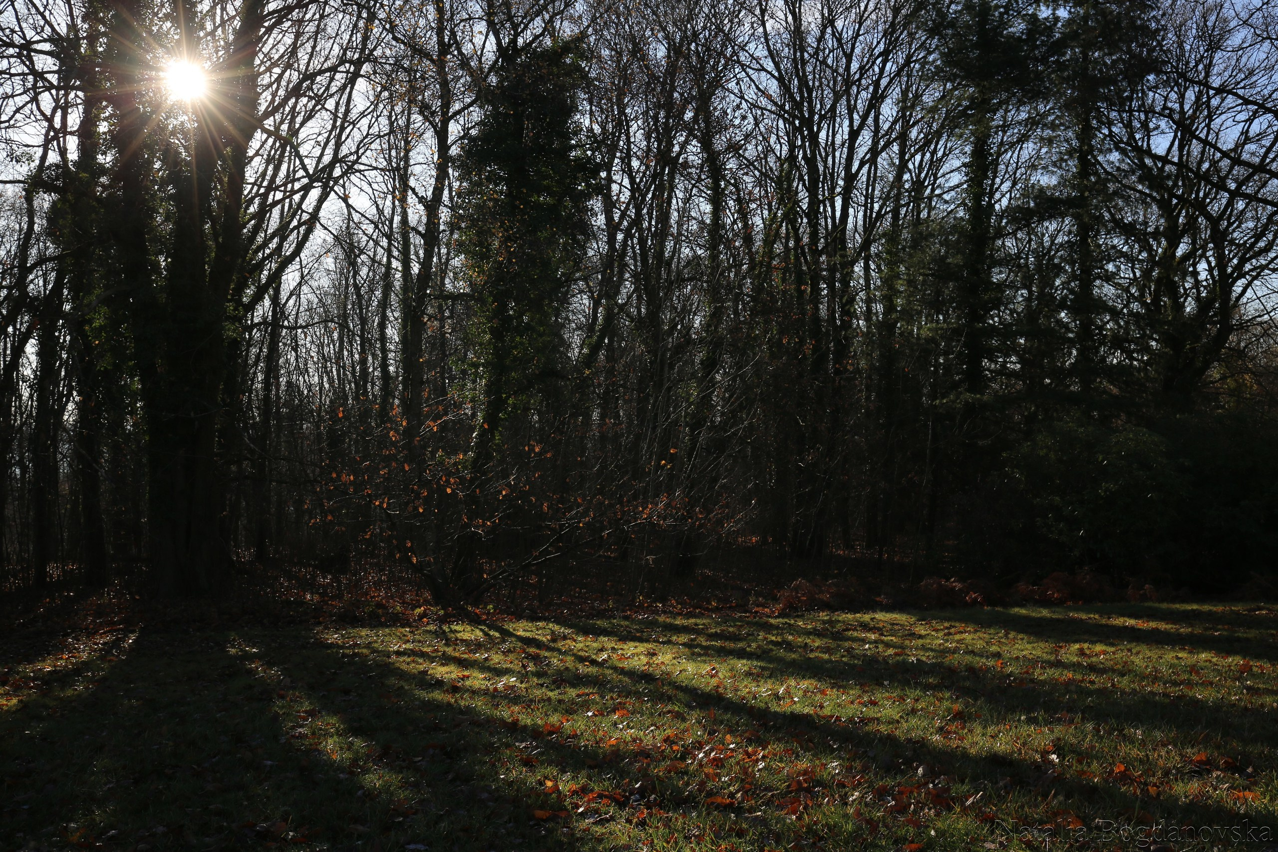 Entreprise. Natalia Bogdanovska. Films et photographie corporate en France