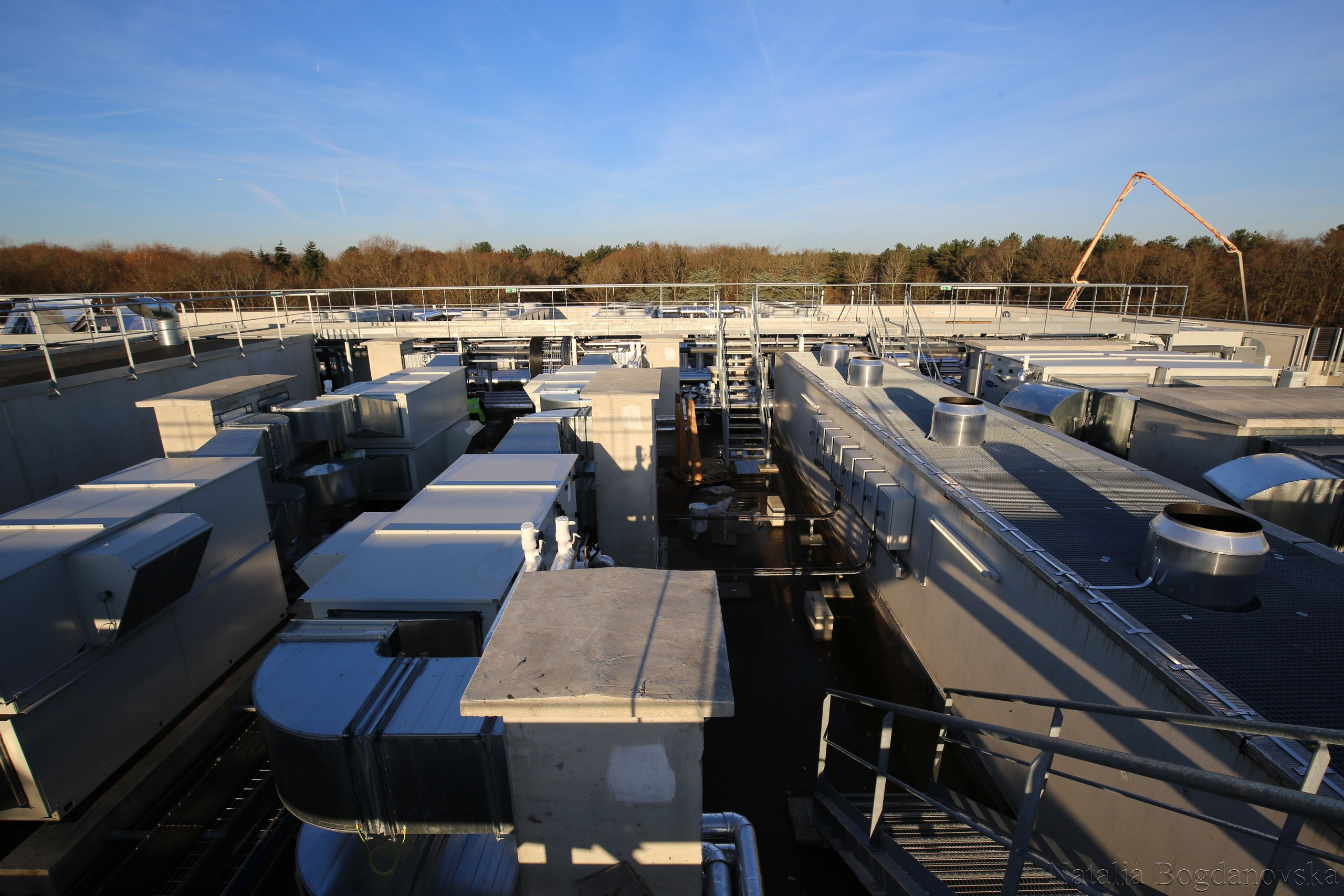 Entreprise. Natalia Bogdanovska. Films et photographie corporate en France