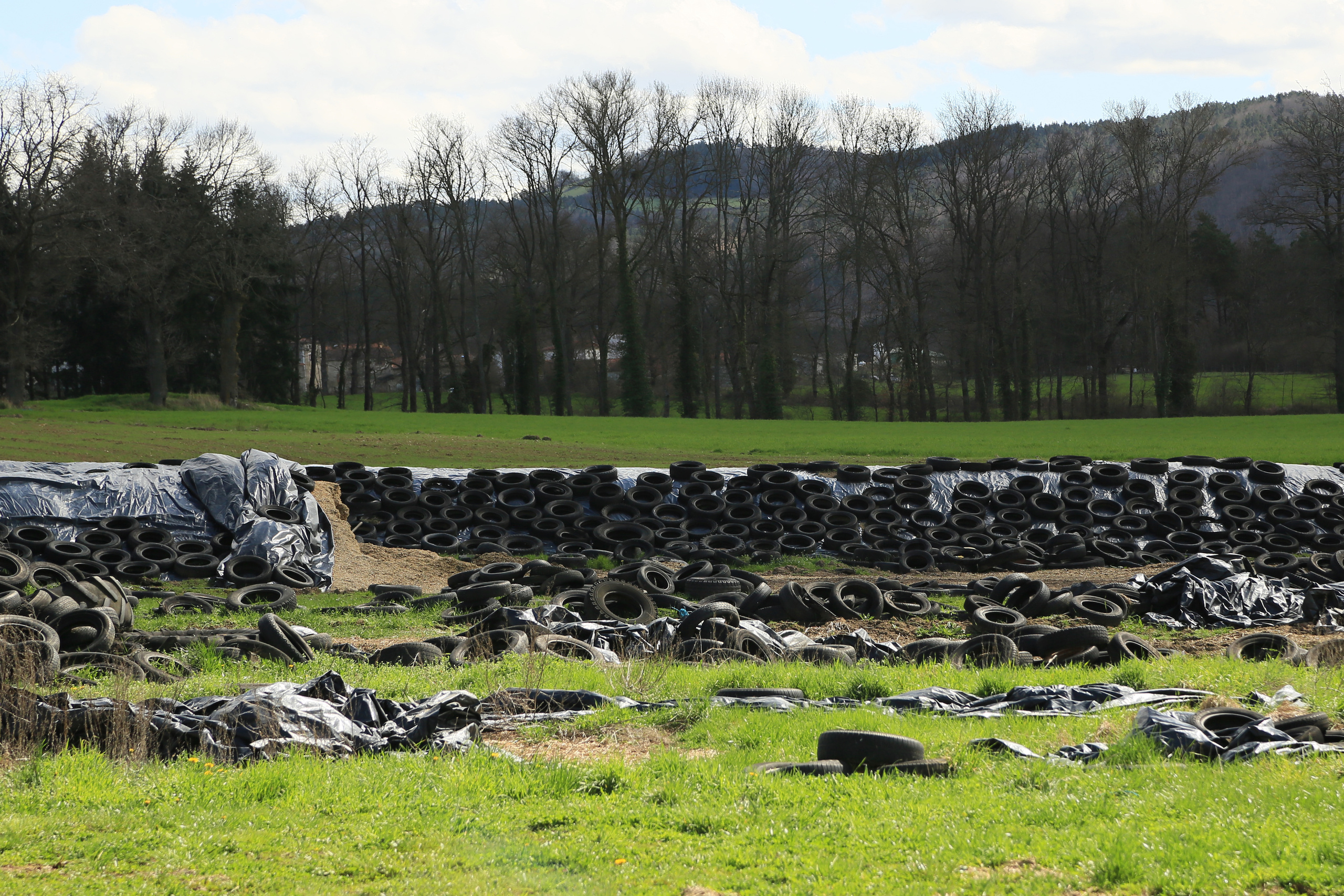 NATURE MORTE et VIVANTE. Natalia Bogdanovska. Films et photographie corporate en France