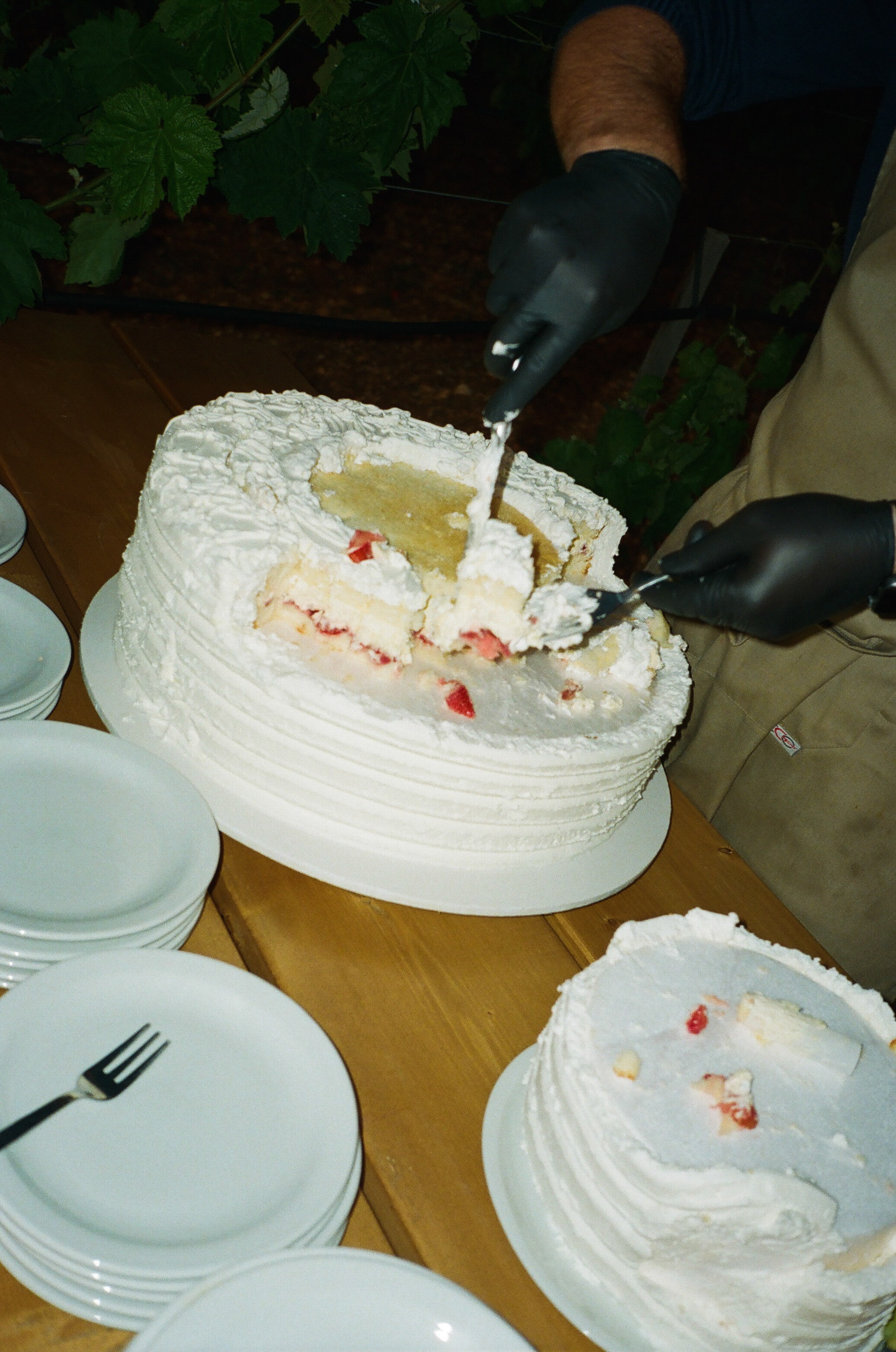 Stephanie & Christian film photos. Wedding photographer Italy