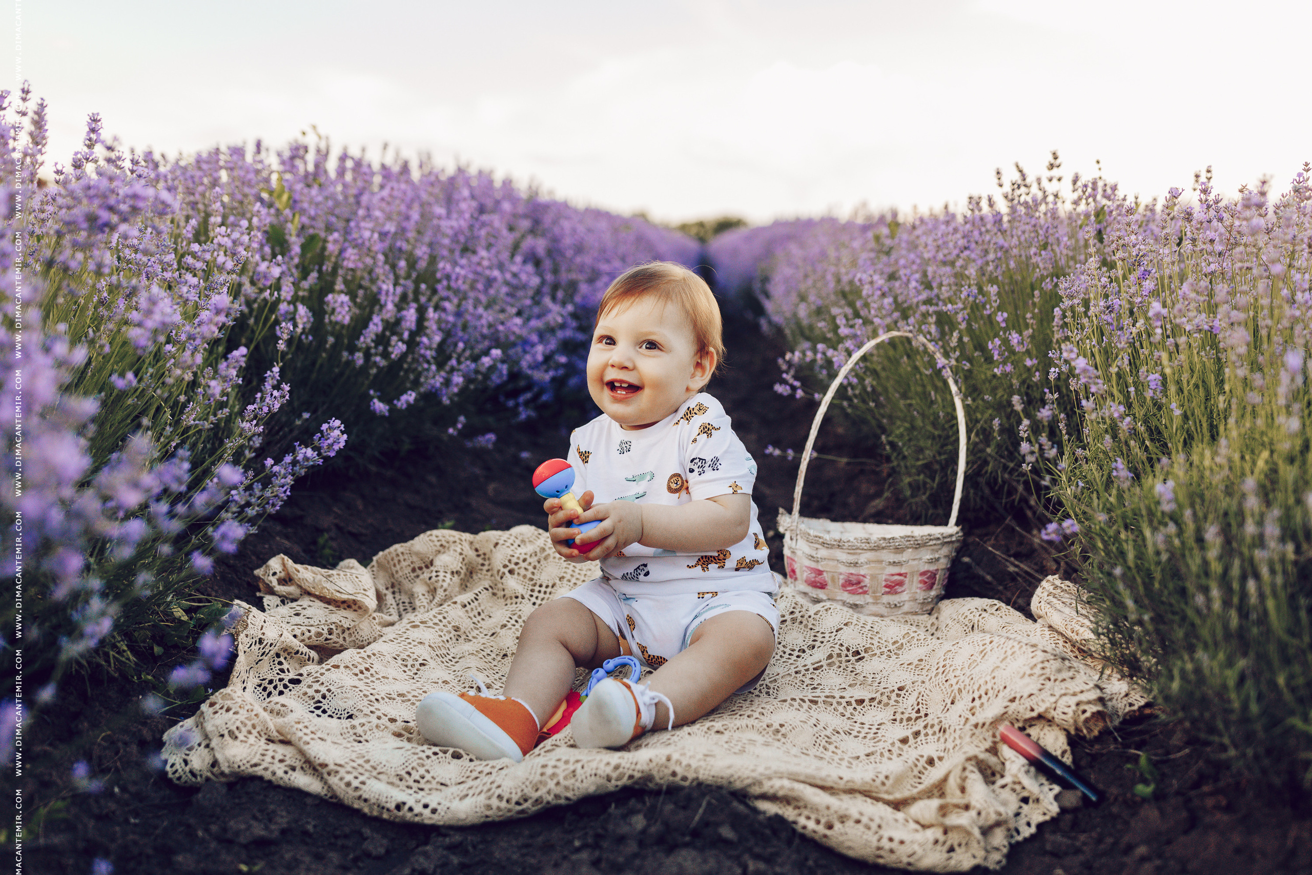 Emir / cîmp de levănțică. Fotograf de nuntă în Chisinau, Moldova. Poze și Video Comerciale