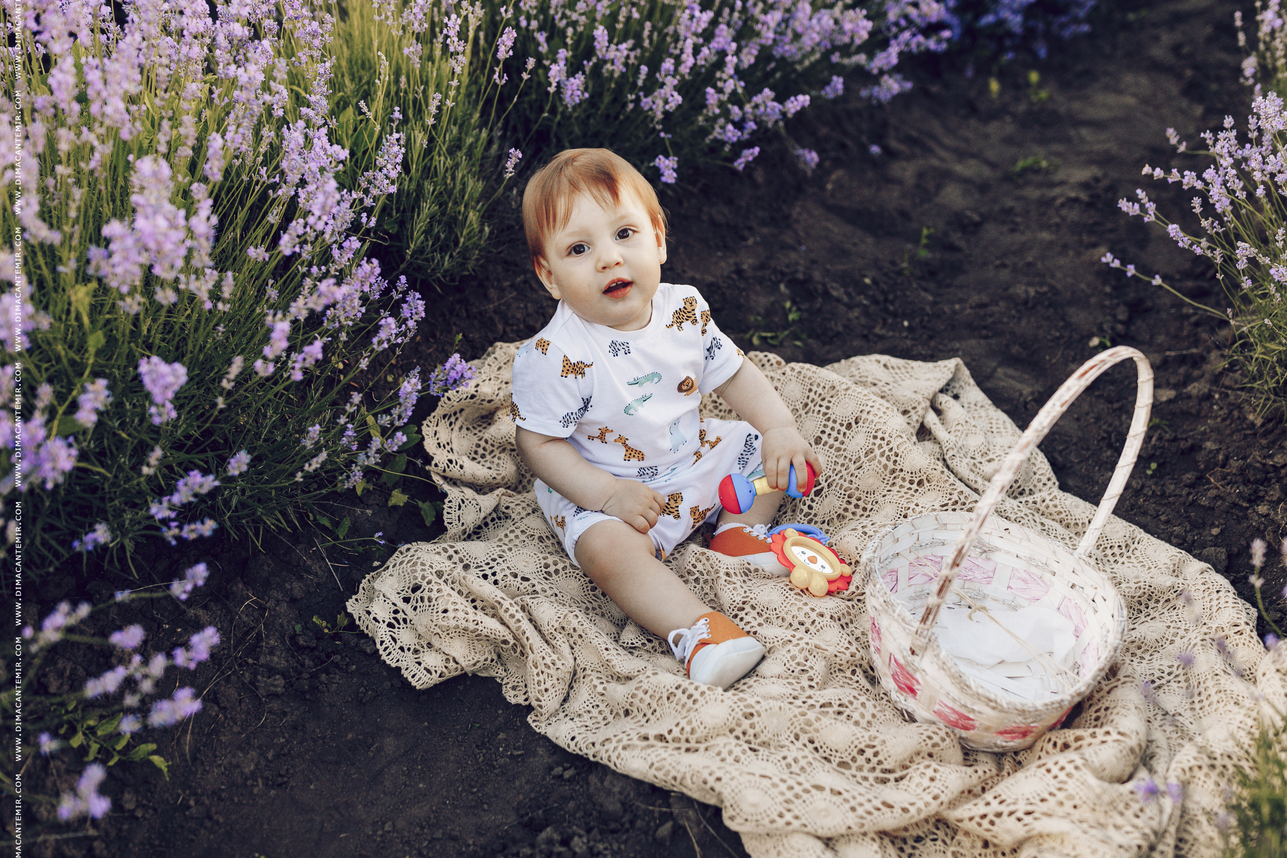 Emir / cîmp de levănțică. Fotograf de nuntă în Chisinau, Moldova. Poze și Video Comerciale