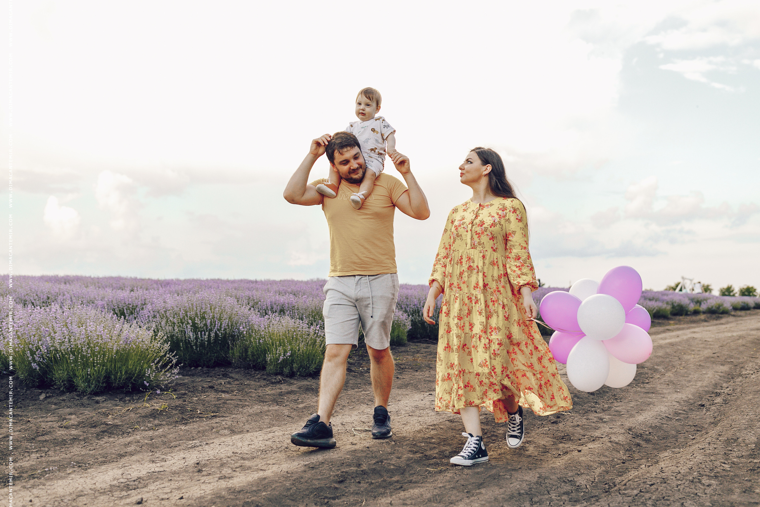 Emir / cîmp de levănțică. Fotograf de nuntă în Chisinau, Moldova. Poze și Video Comerciale
