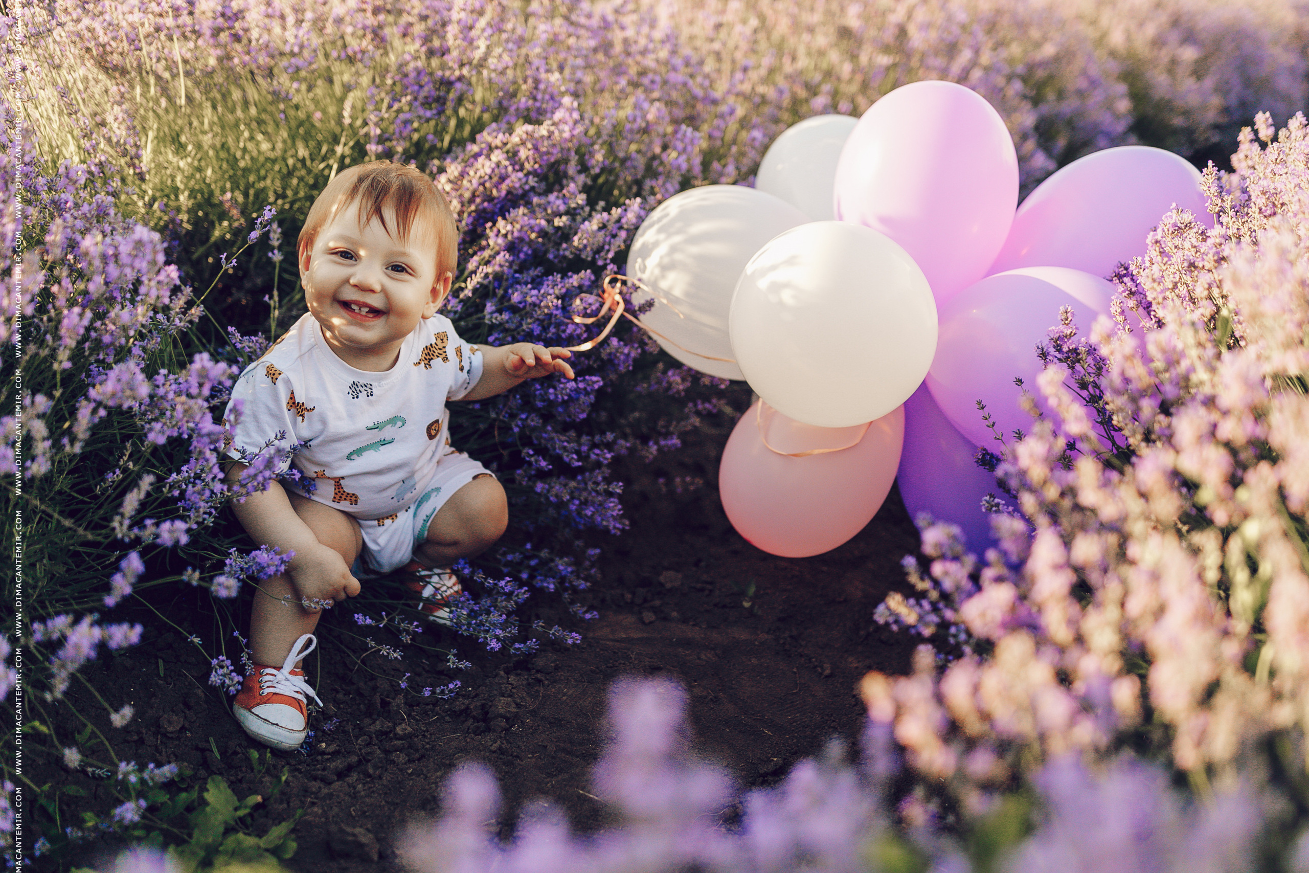 Emir / cîmp de levănțică. Fotograf de nuntă în Chisinau, Moldova. Poze și Video Comerciale