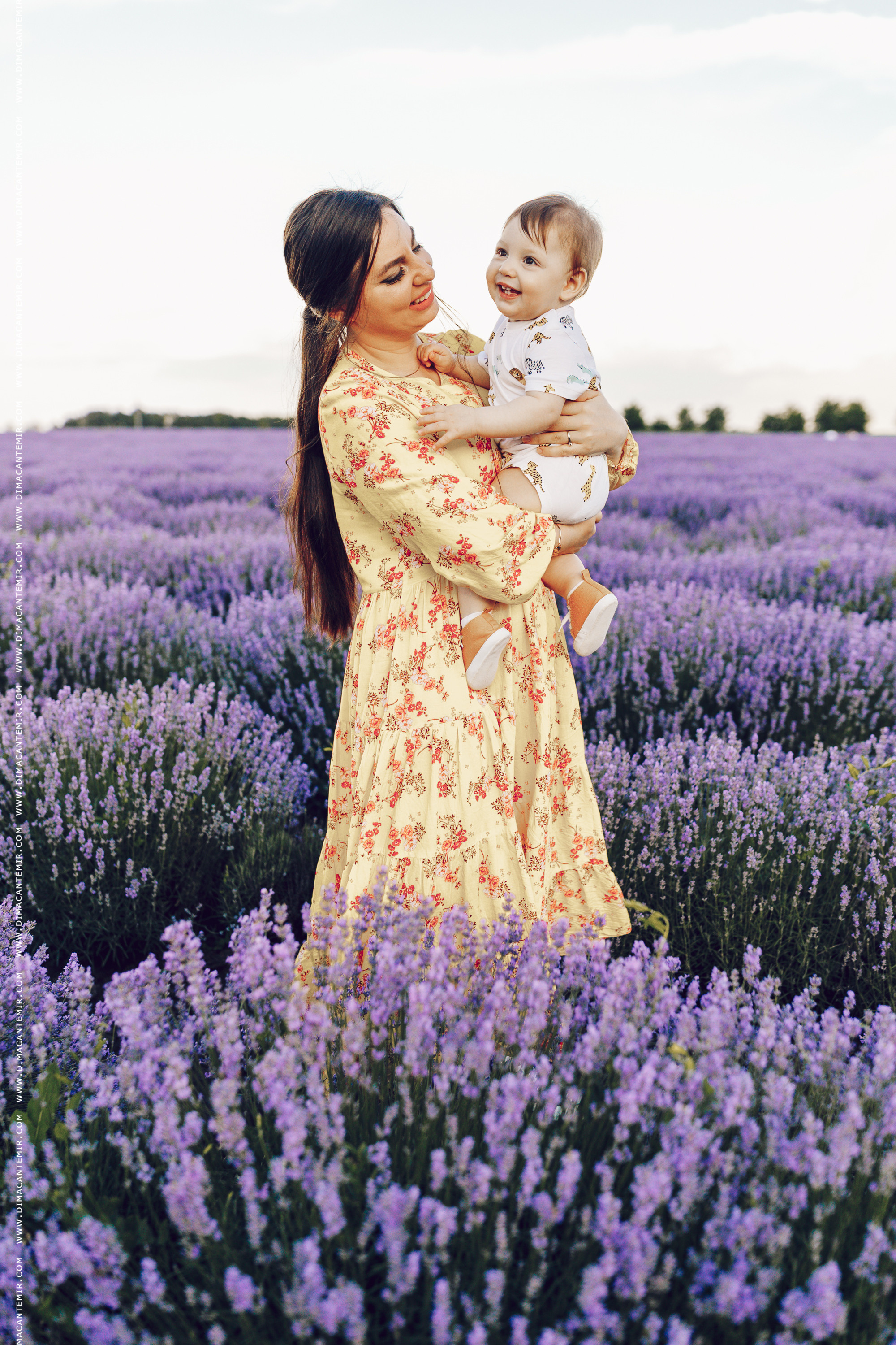 Emir / cîmp de levănțică. Fotograf de nuntă în Chisinau, Moldova. Poze și Video Comerciale