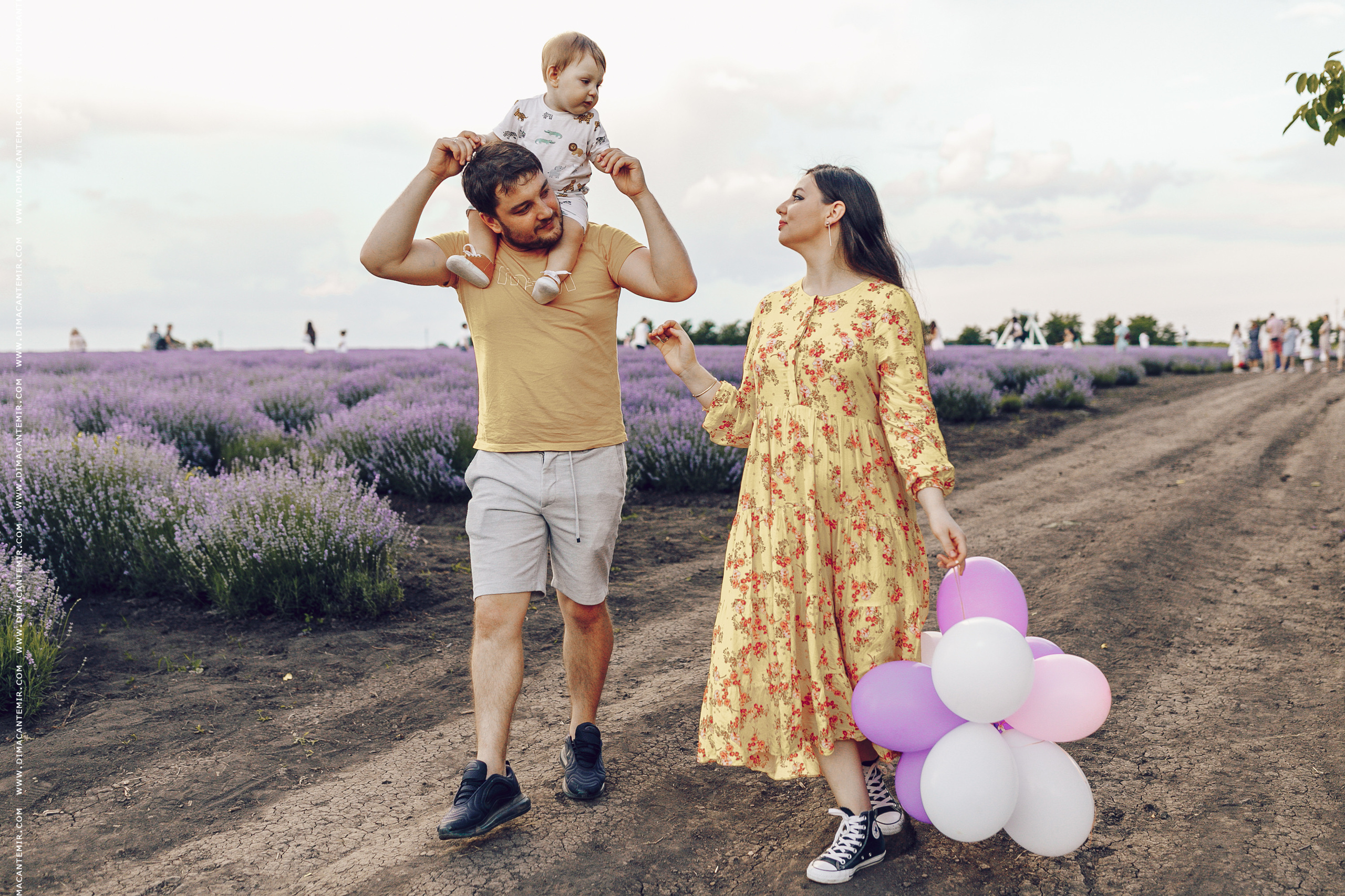 Emir / cîmp de levănțică. Fotograf de nuntă în Chisinau, Moldova. Poze și Video Comerciale