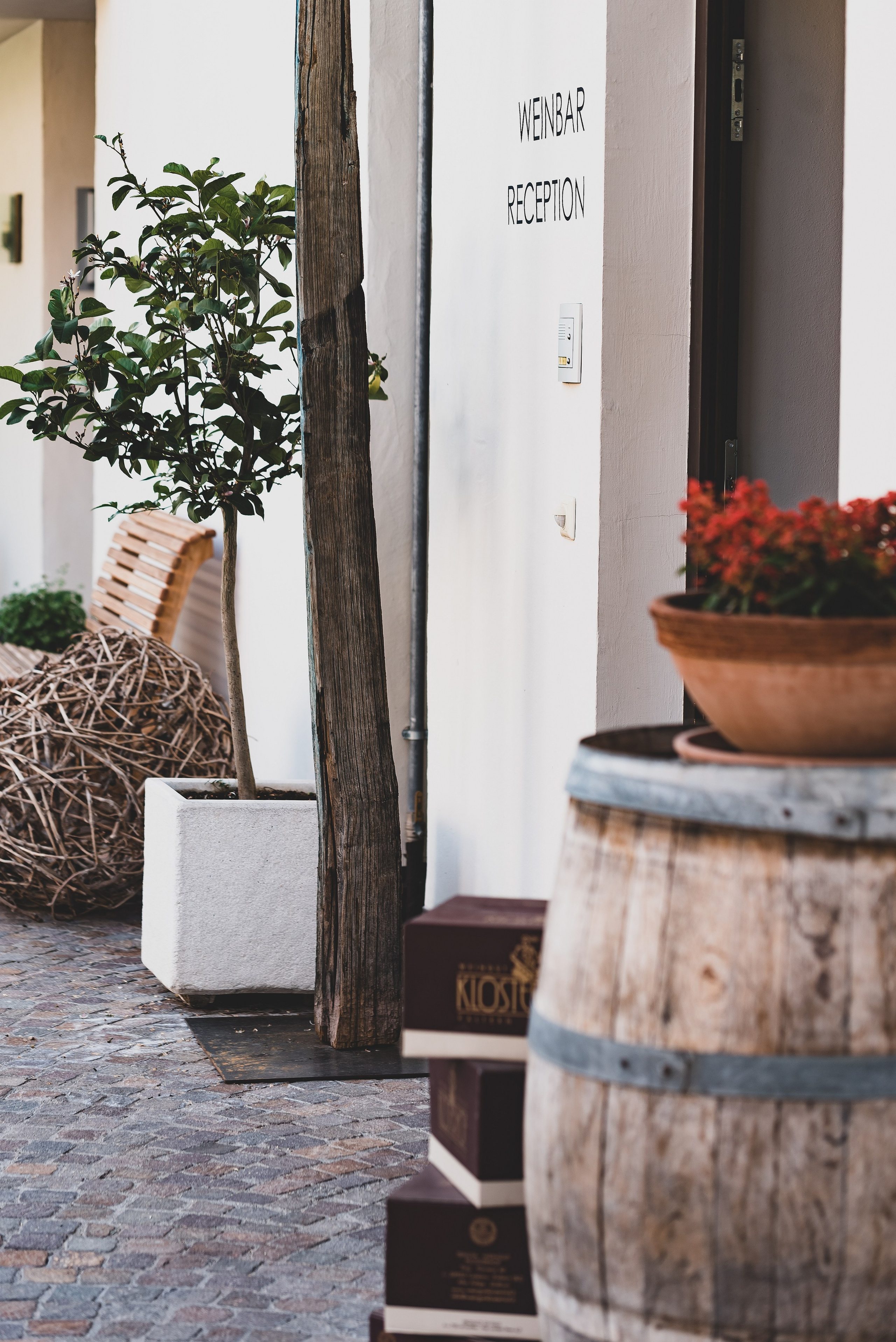 Die Sonne. Familienfotografin aus Sterzing Elena Muehlsteiger