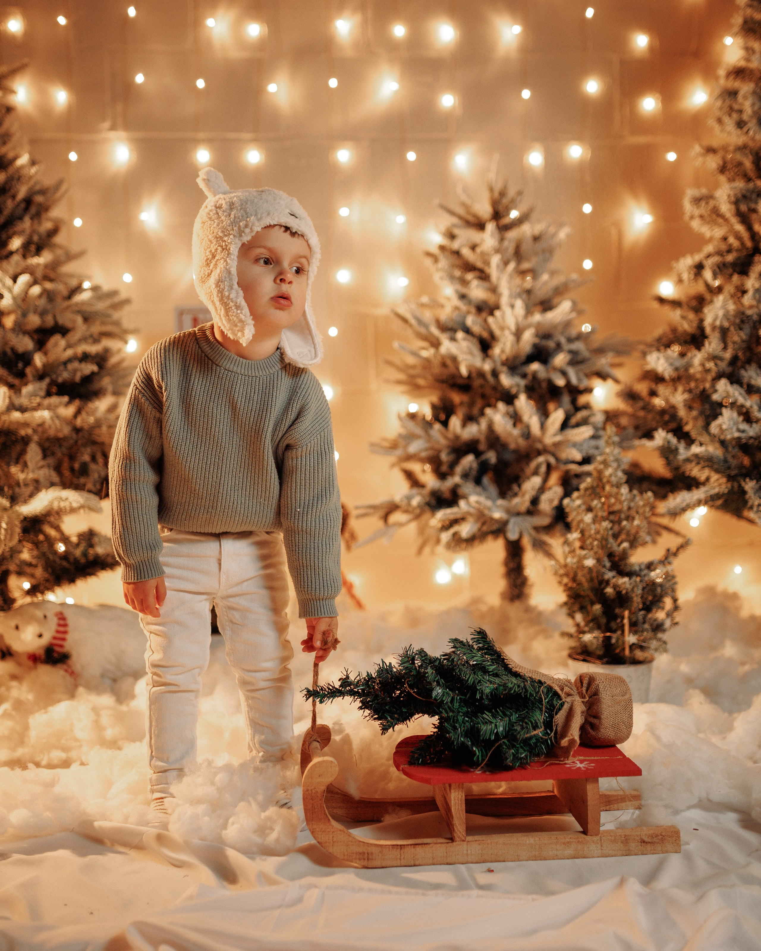 Christmas Time. Https://valphoto.wfolio.pro/