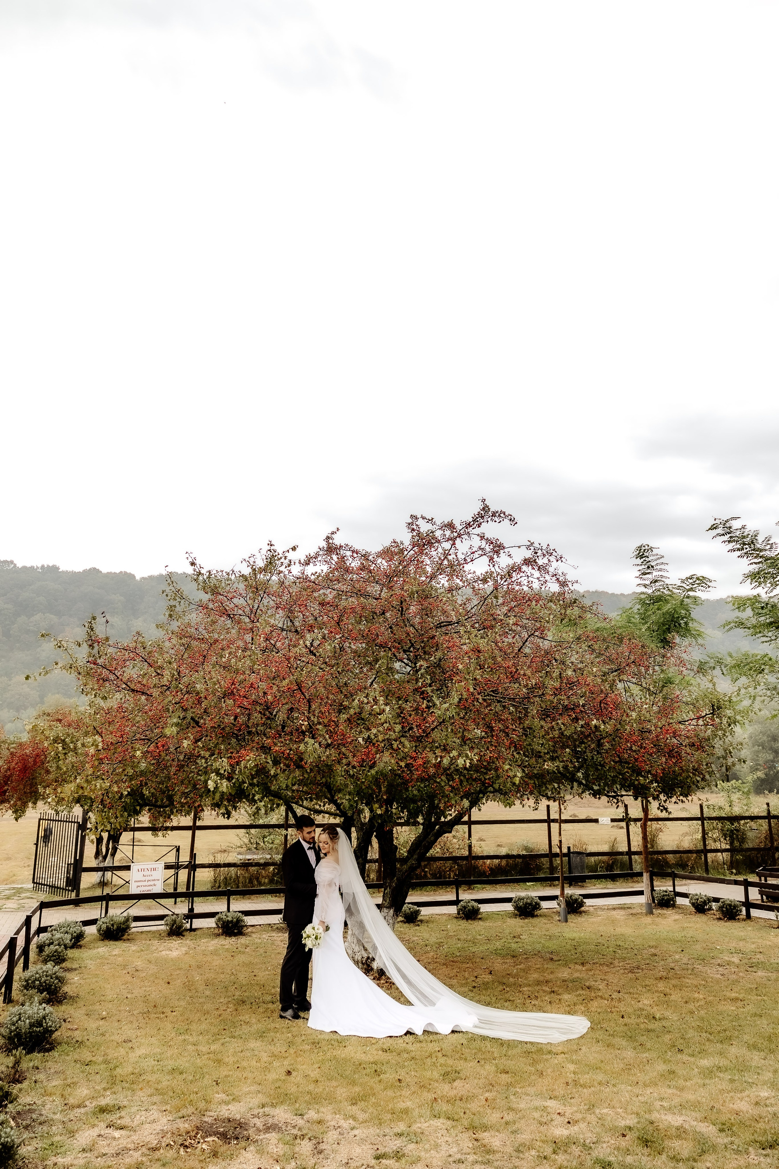 Nunta. Servicii Foto/Video