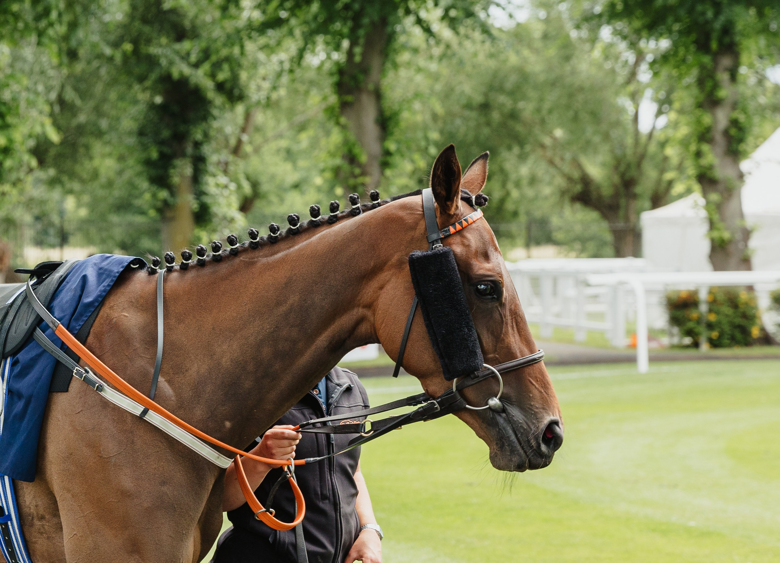 40th Birthday — Royal Windsor Racecourse. June, 2023. Timeless Wedding & Event Photography — based London, working across Europe