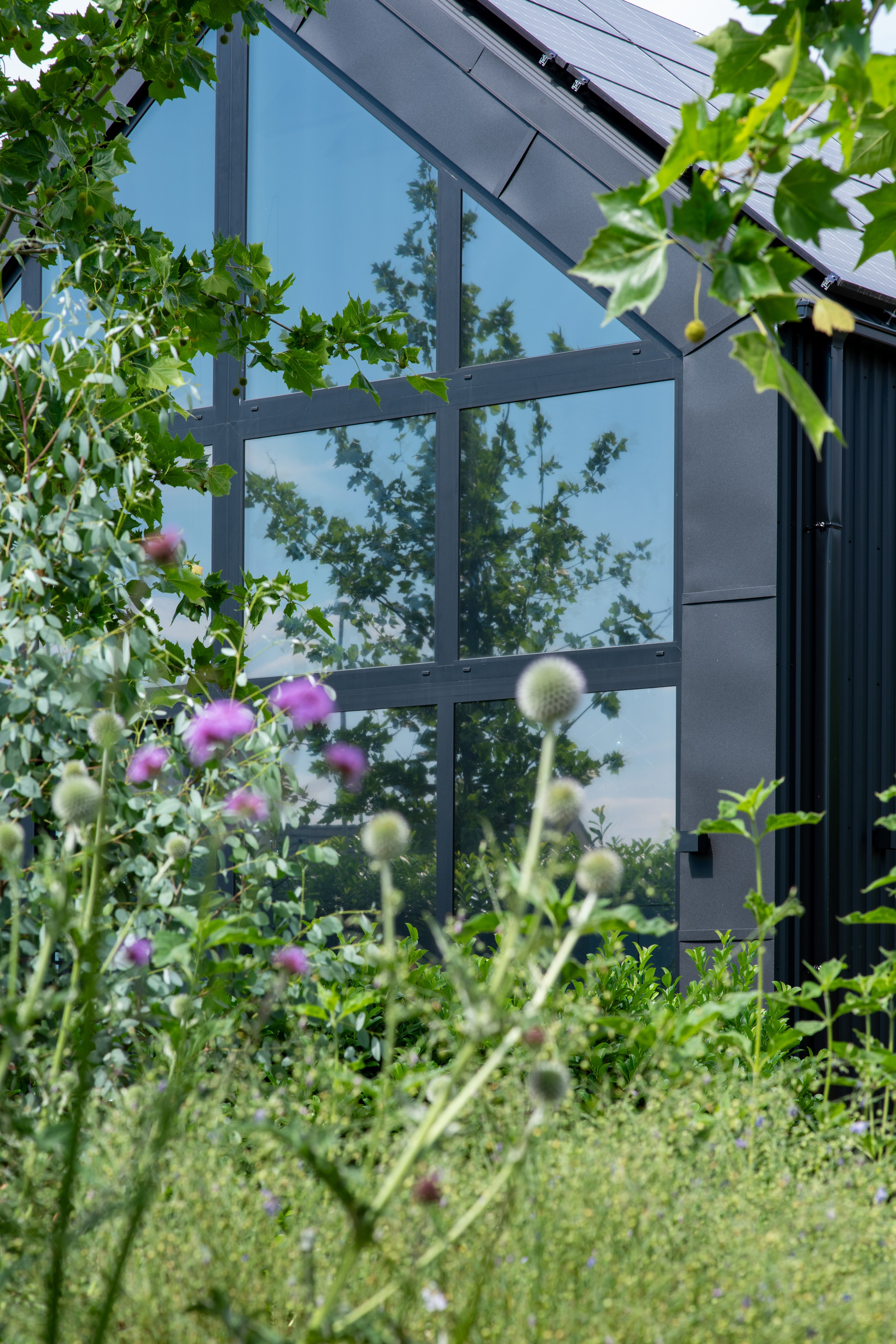 BEŽECKÁ 11. Photographer and videographer in Norway and Slovakia Andrea Zemko