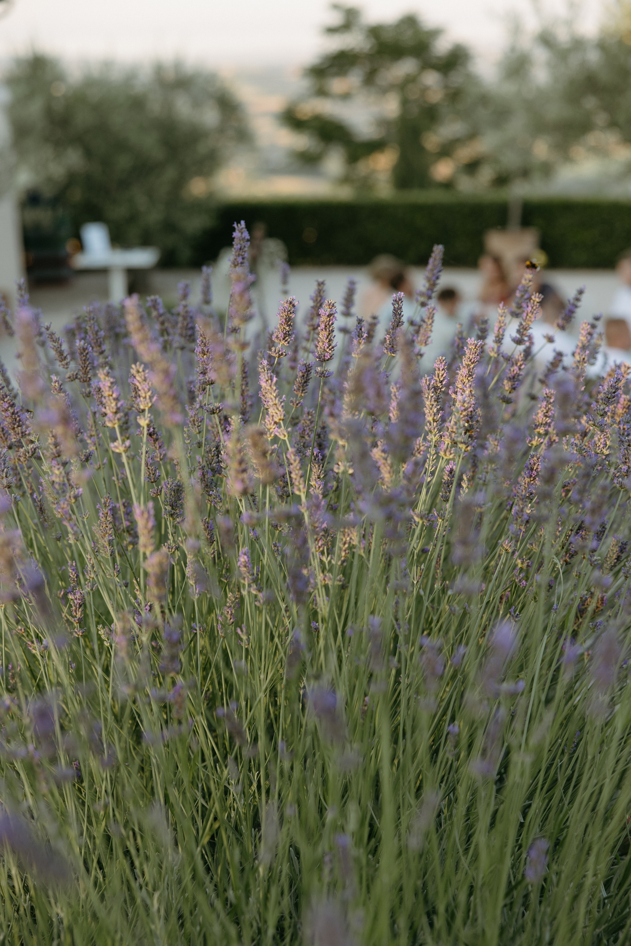 Sofia&Falk. Wedding photographer Italy