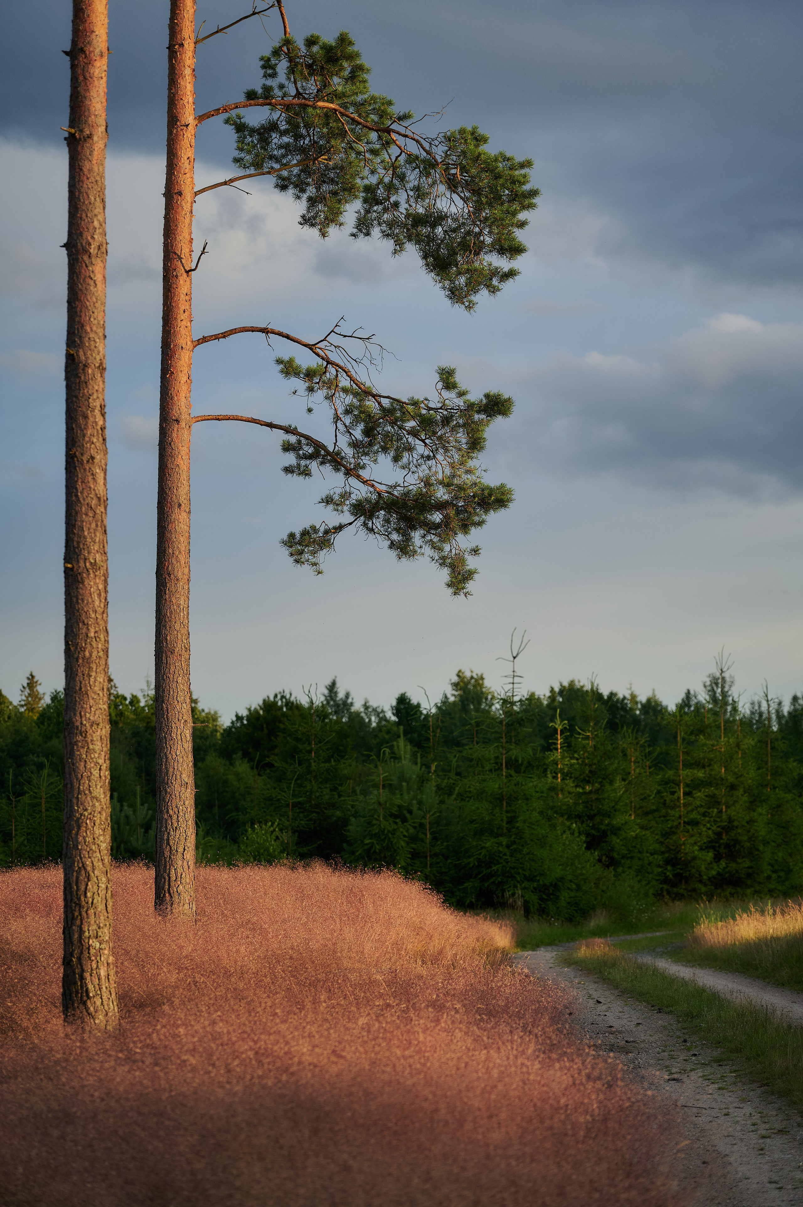 Landscapes by Yury Popkov. Yuri Popkov | Photographer