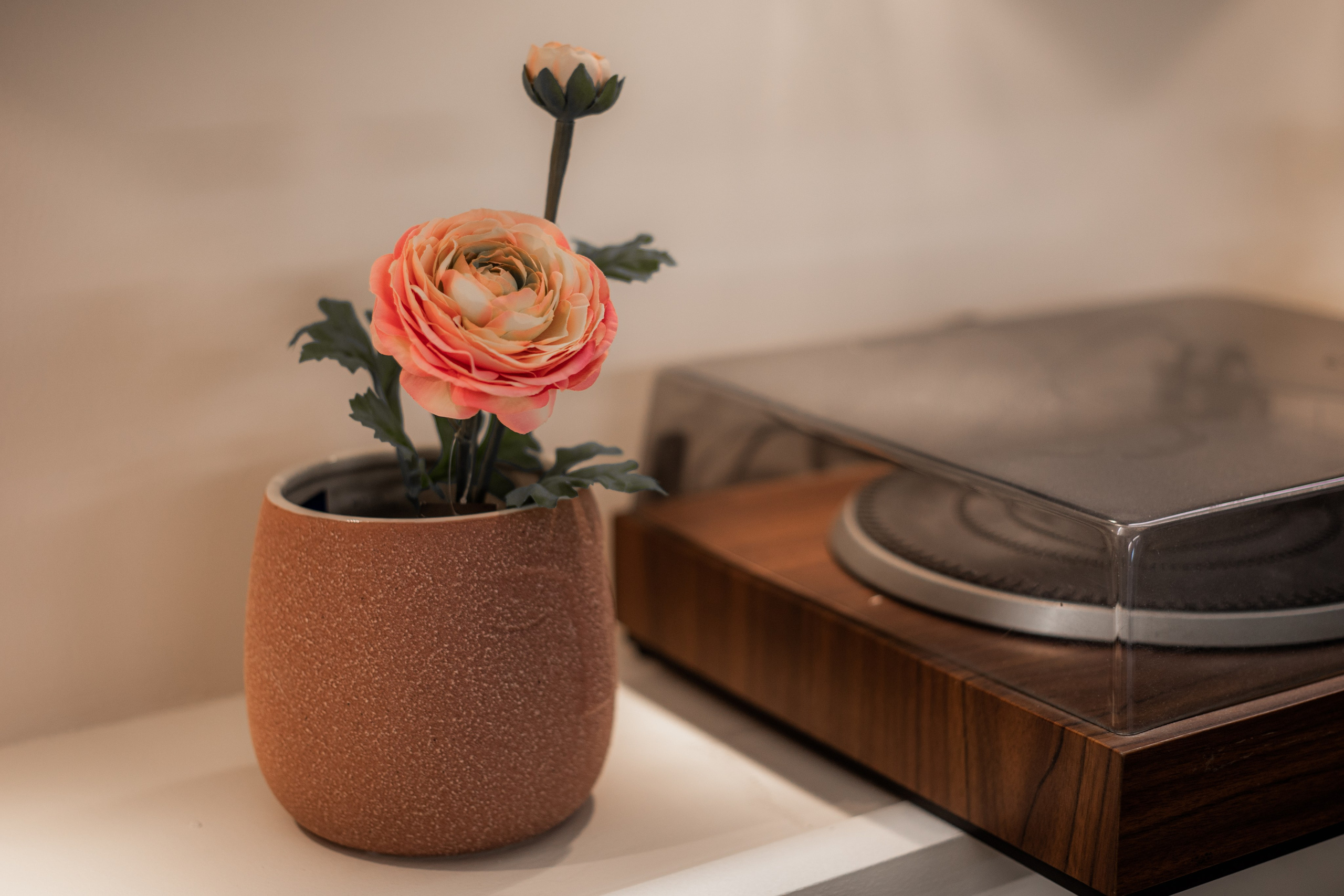 Открытие нового дома OranJazz в Аликанте. Вечеринка «для своих». Volver a oranjazz.com