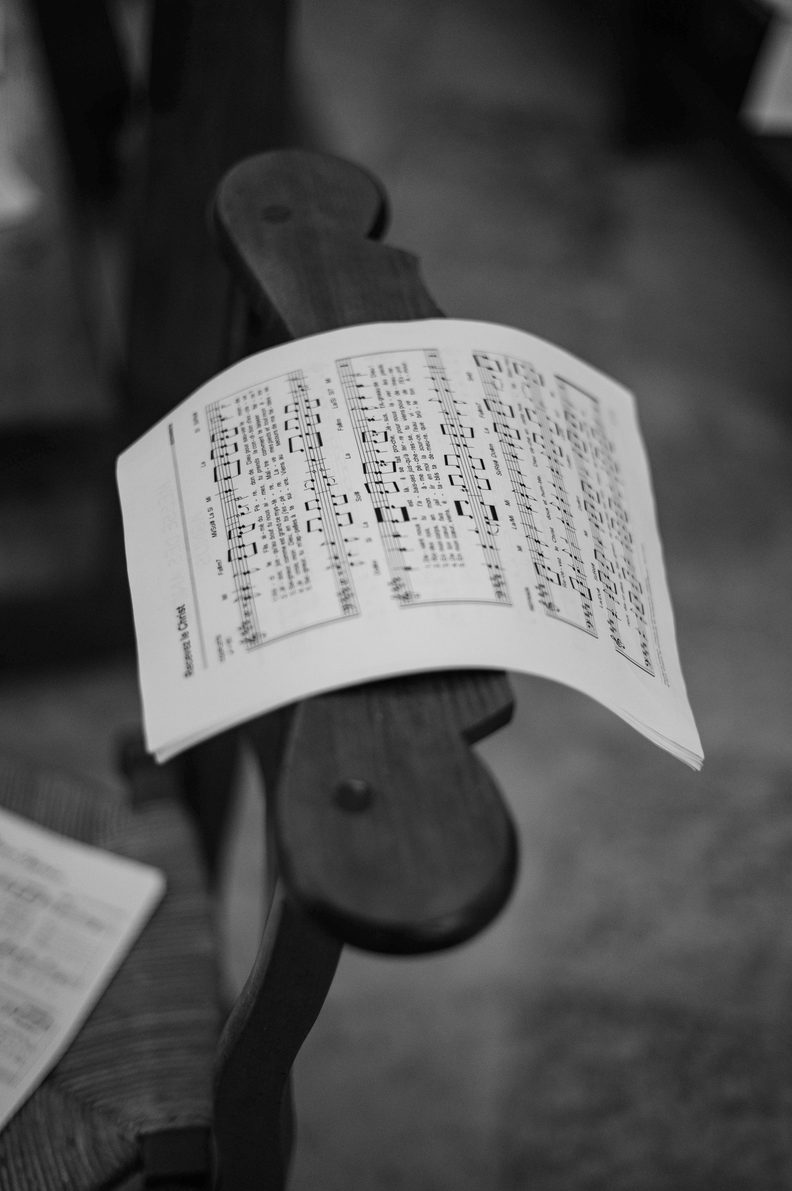 Portfolio. Photographe Mykhaylyk Vladyslav