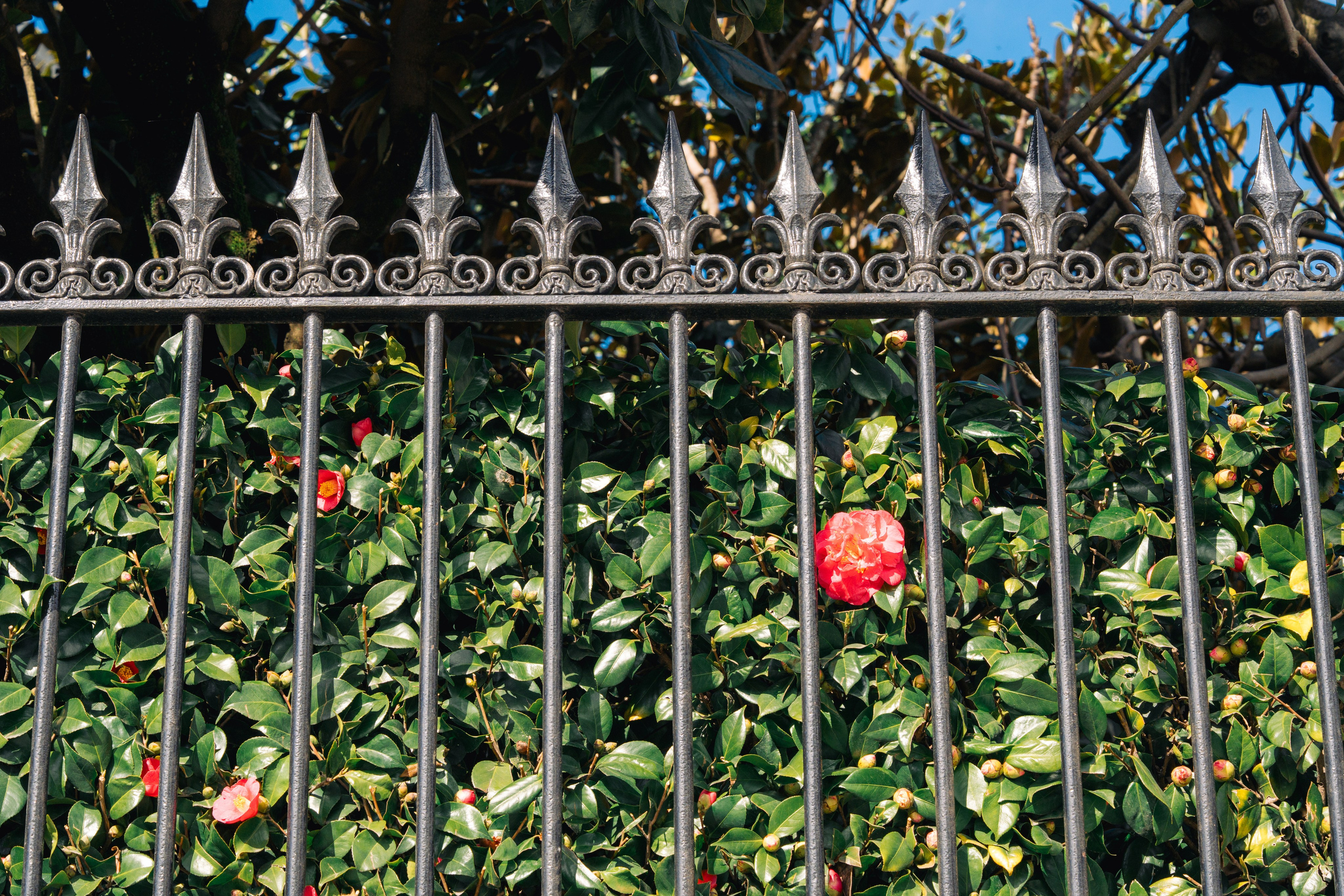 Street. Maria Sher. Professional photographer from Porto, Portugal