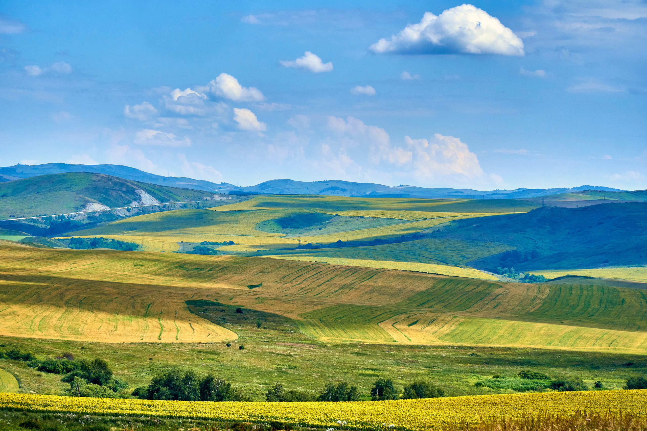 Бухтарма. Андрей Шипилов — Фотография & Видеография