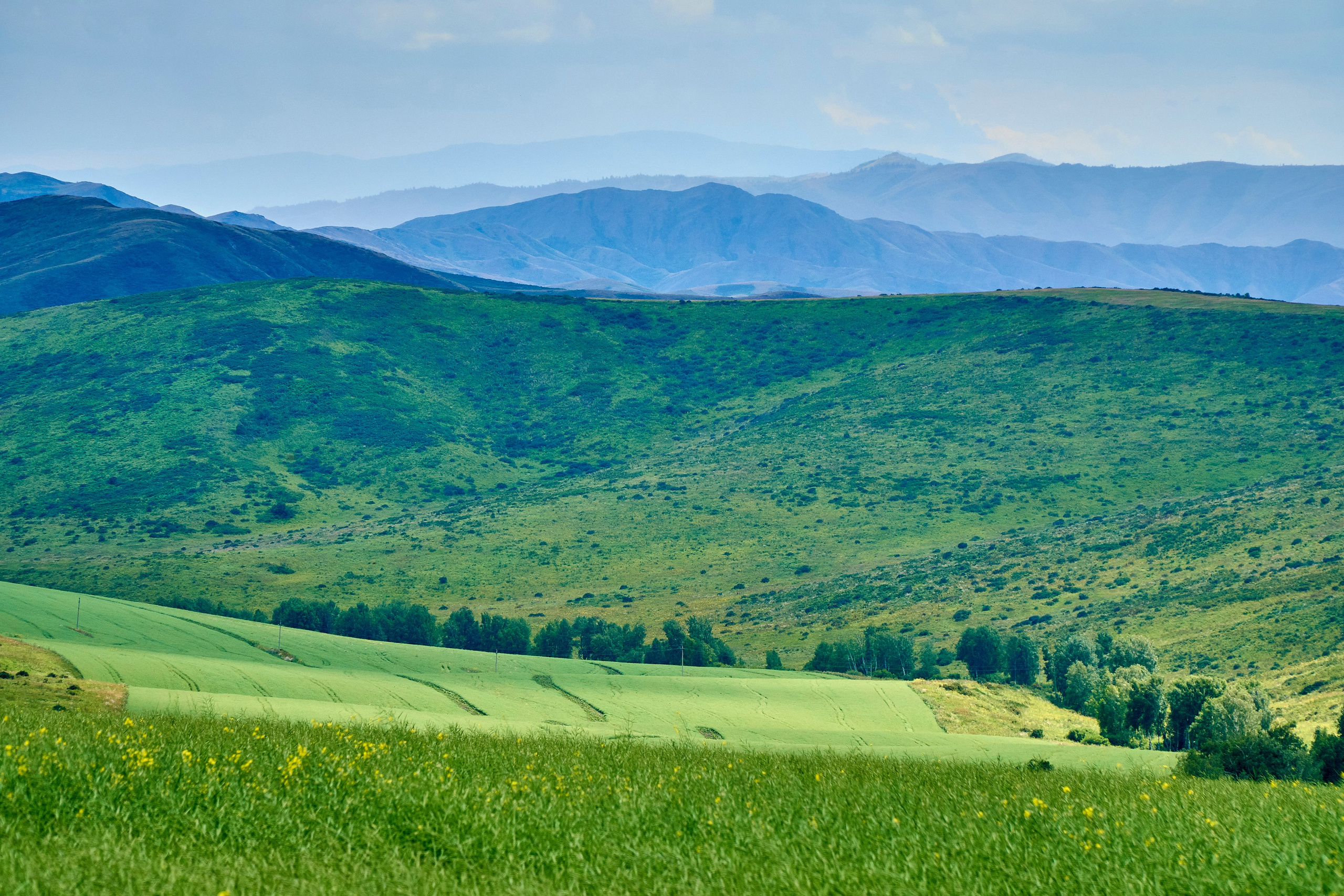 Бухтарма. Андрей Шипилов — Фотография & Видеография