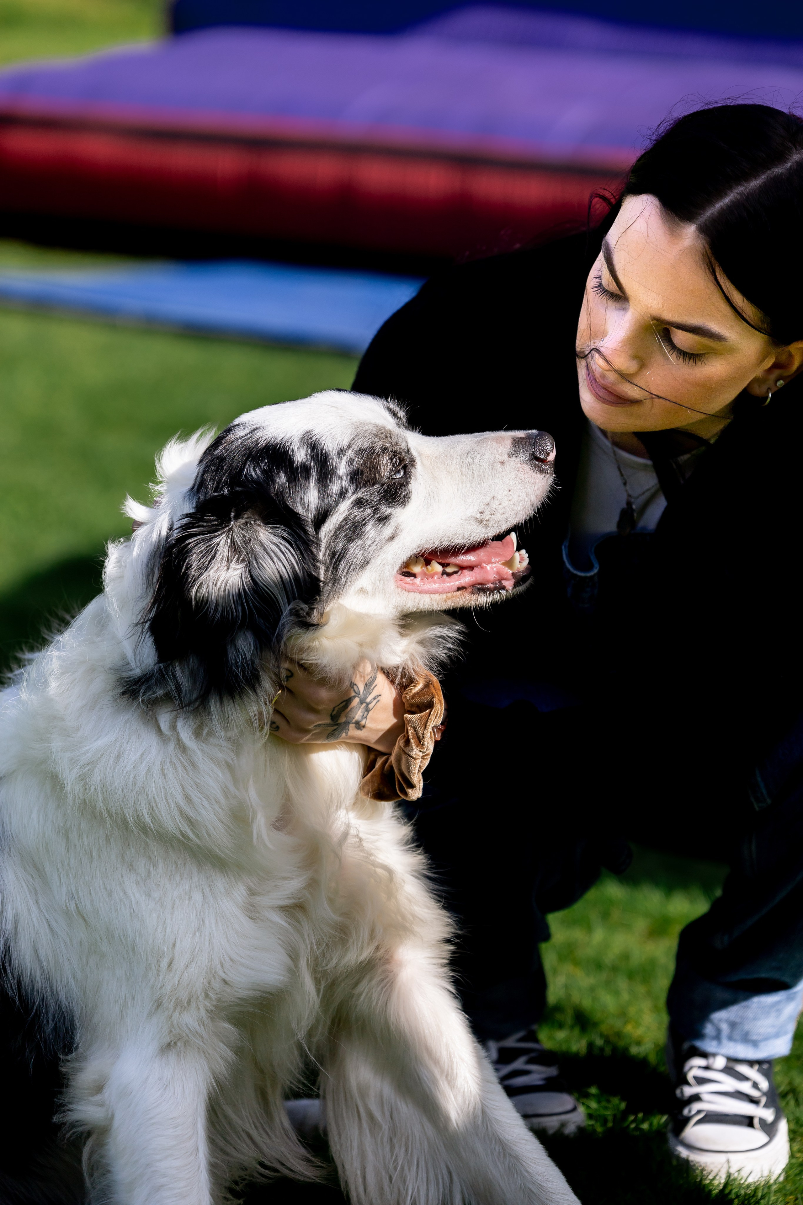 BobFest'23 in 2 days — TRUE LEGEND. September, 2023. Timeless Wedding & Event Photography — based London, working across Europe
