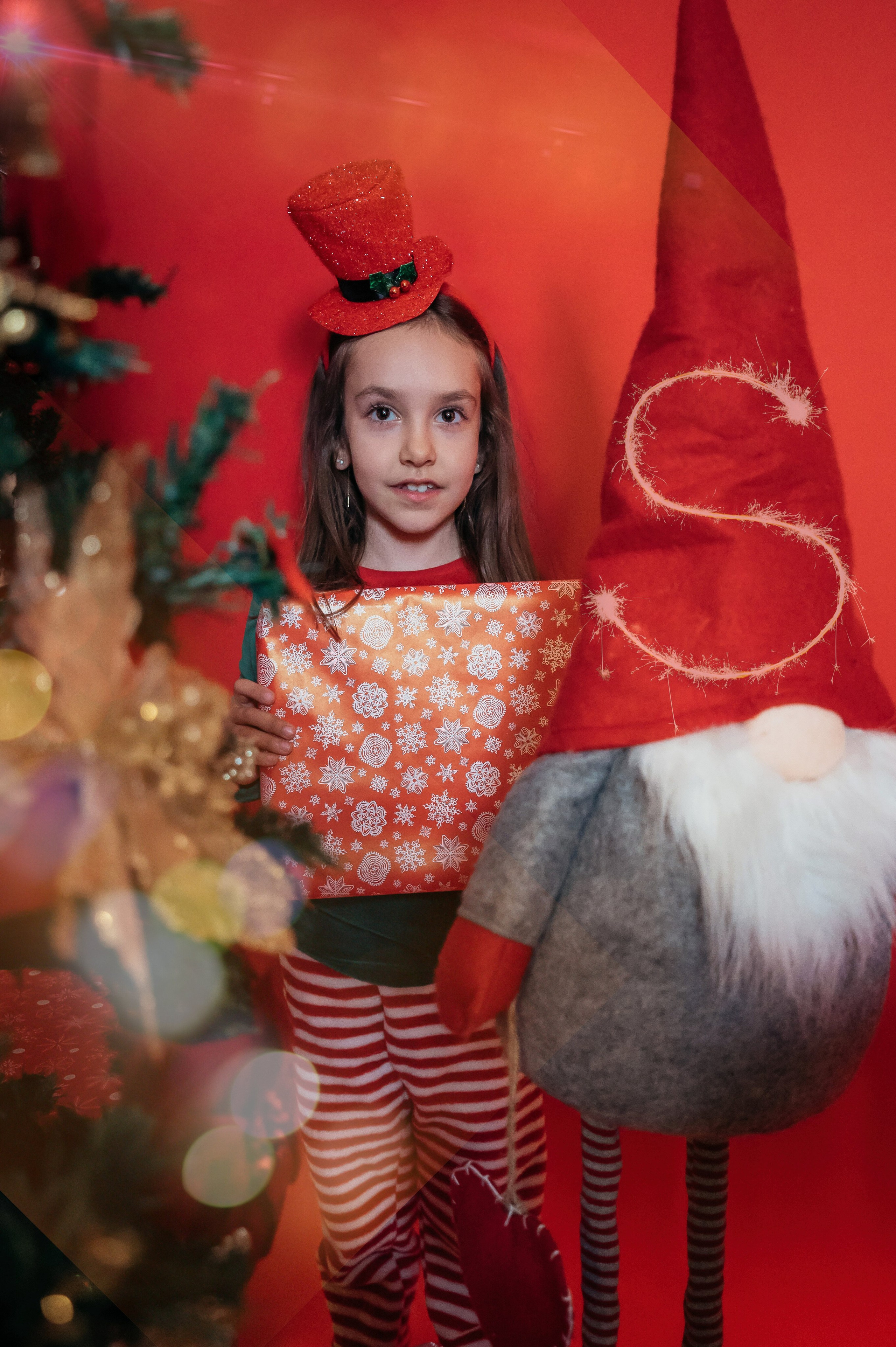 Sedinta Craciun Sofia