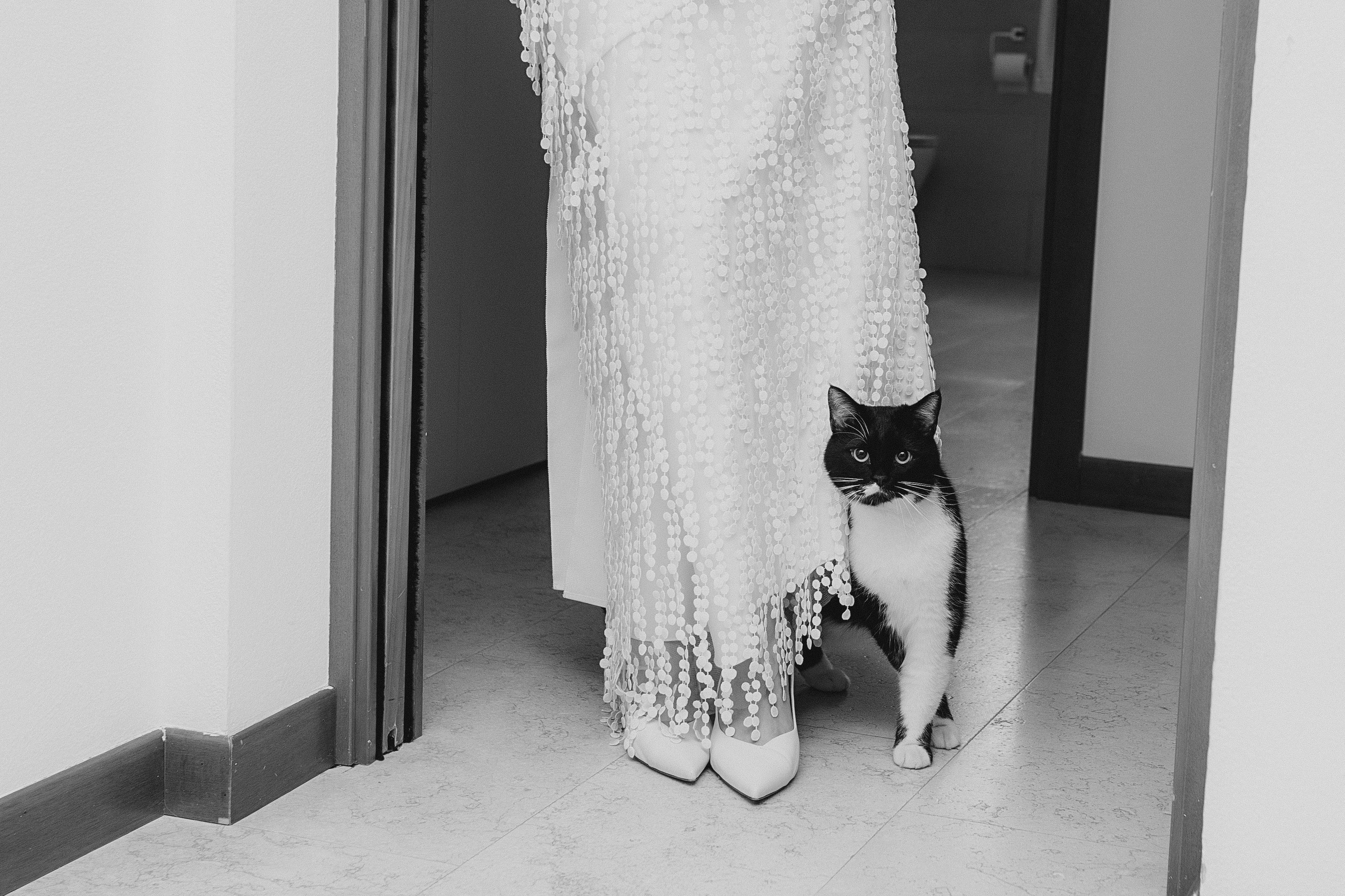 Olga & Cristian: Bassano del Grappa. Main