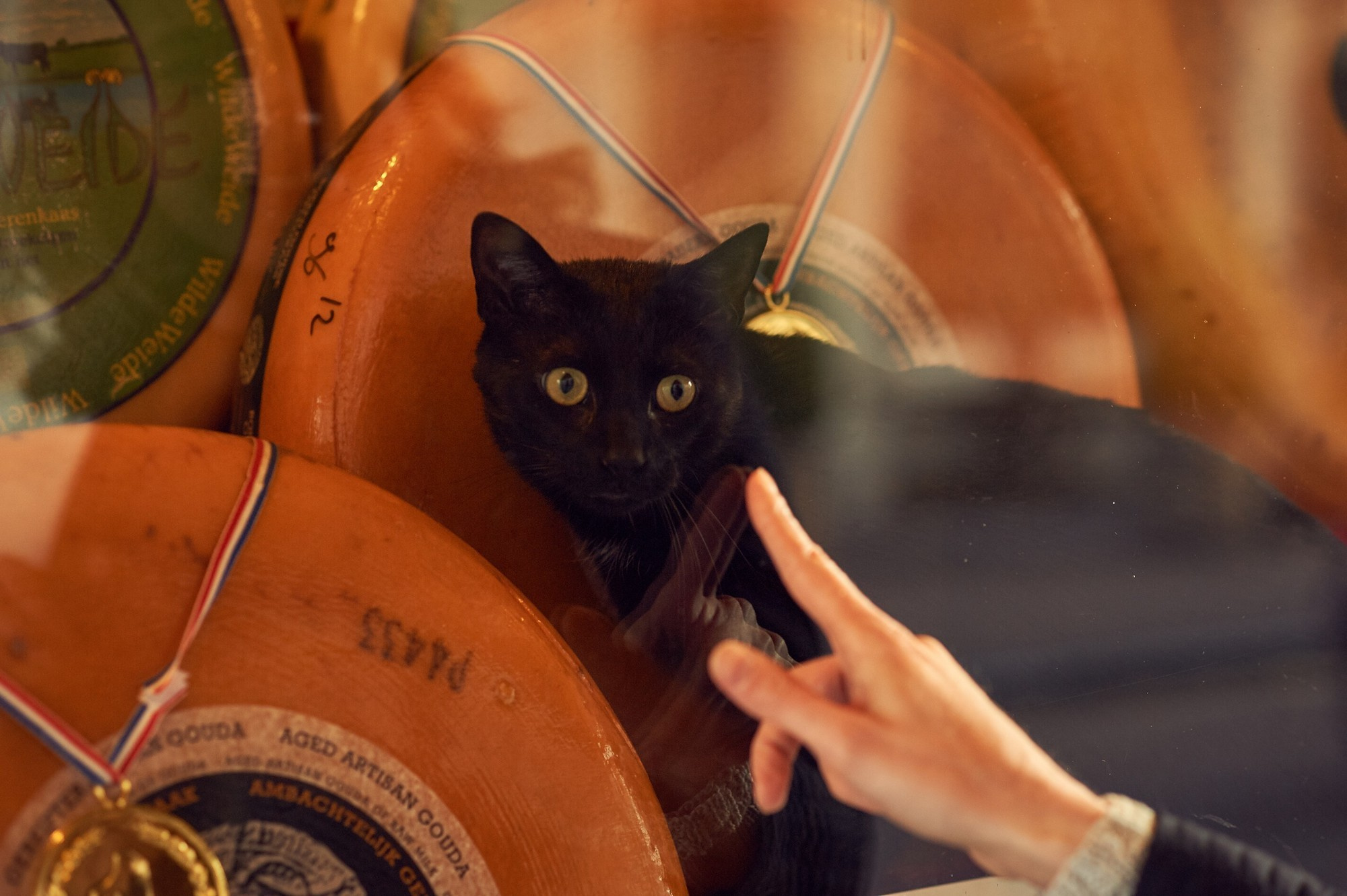 Аmsterdam Love story. Portret, trouw en familie fotograaf in Amsterdam en Almere