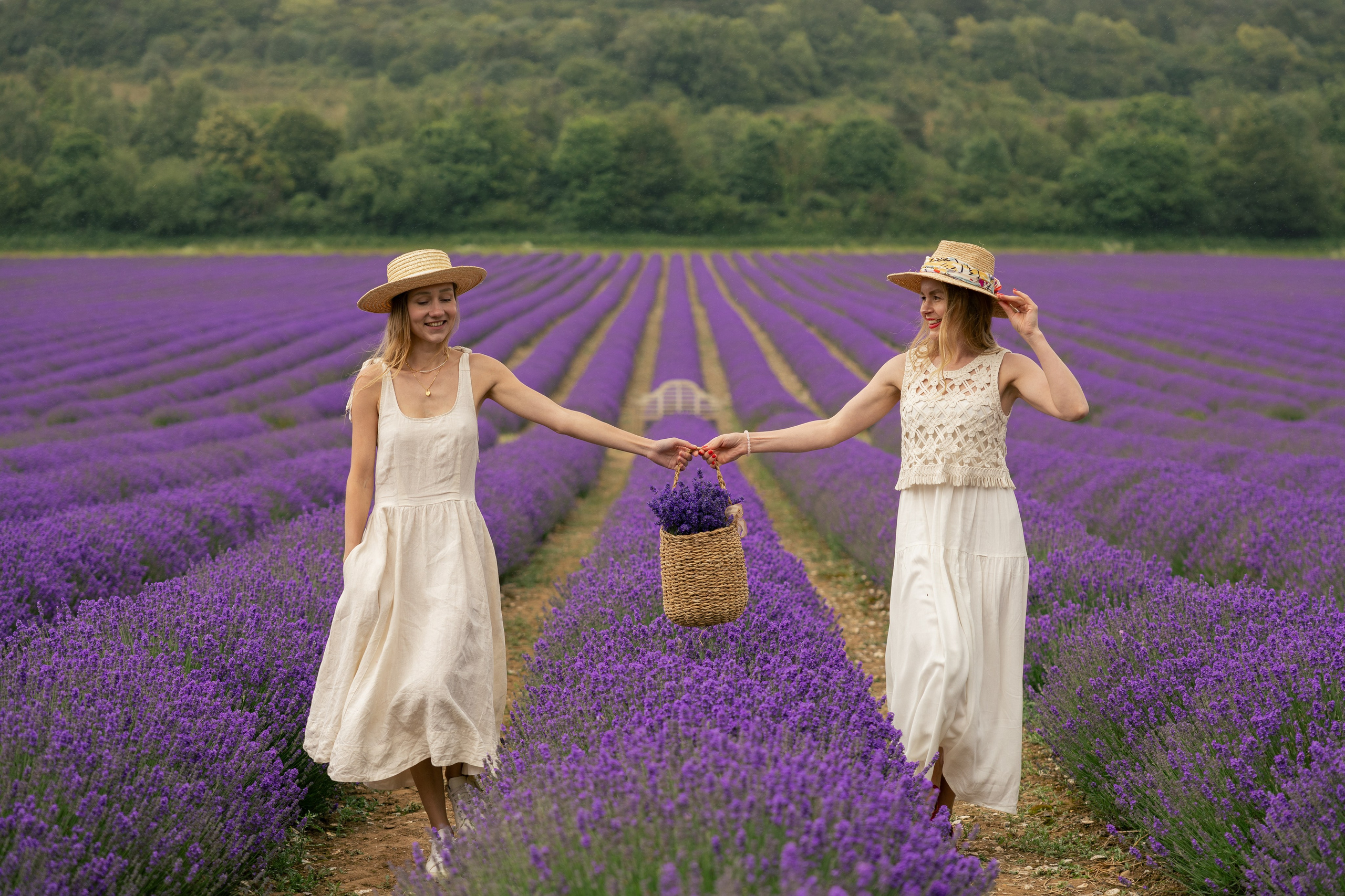 Lavender Picnics. PHOTOGRAPHER IN LONDON