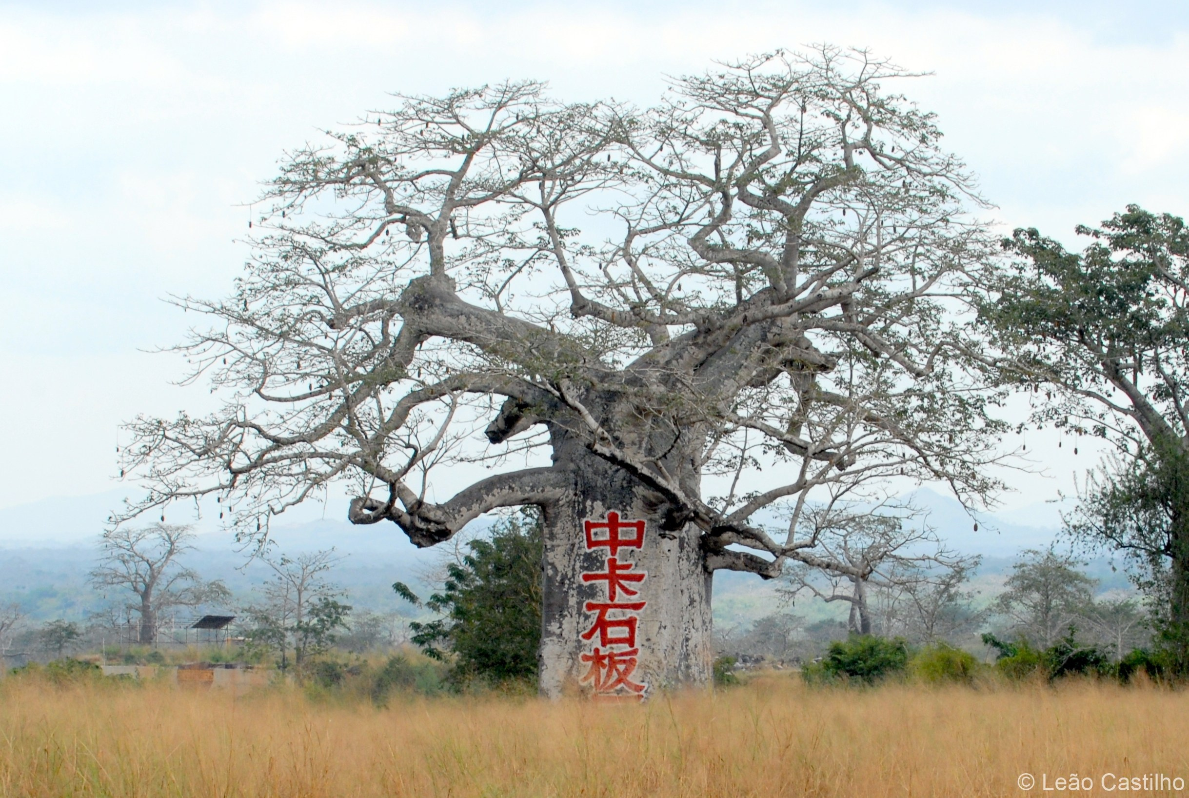 Photos from Angola. Simbahalu