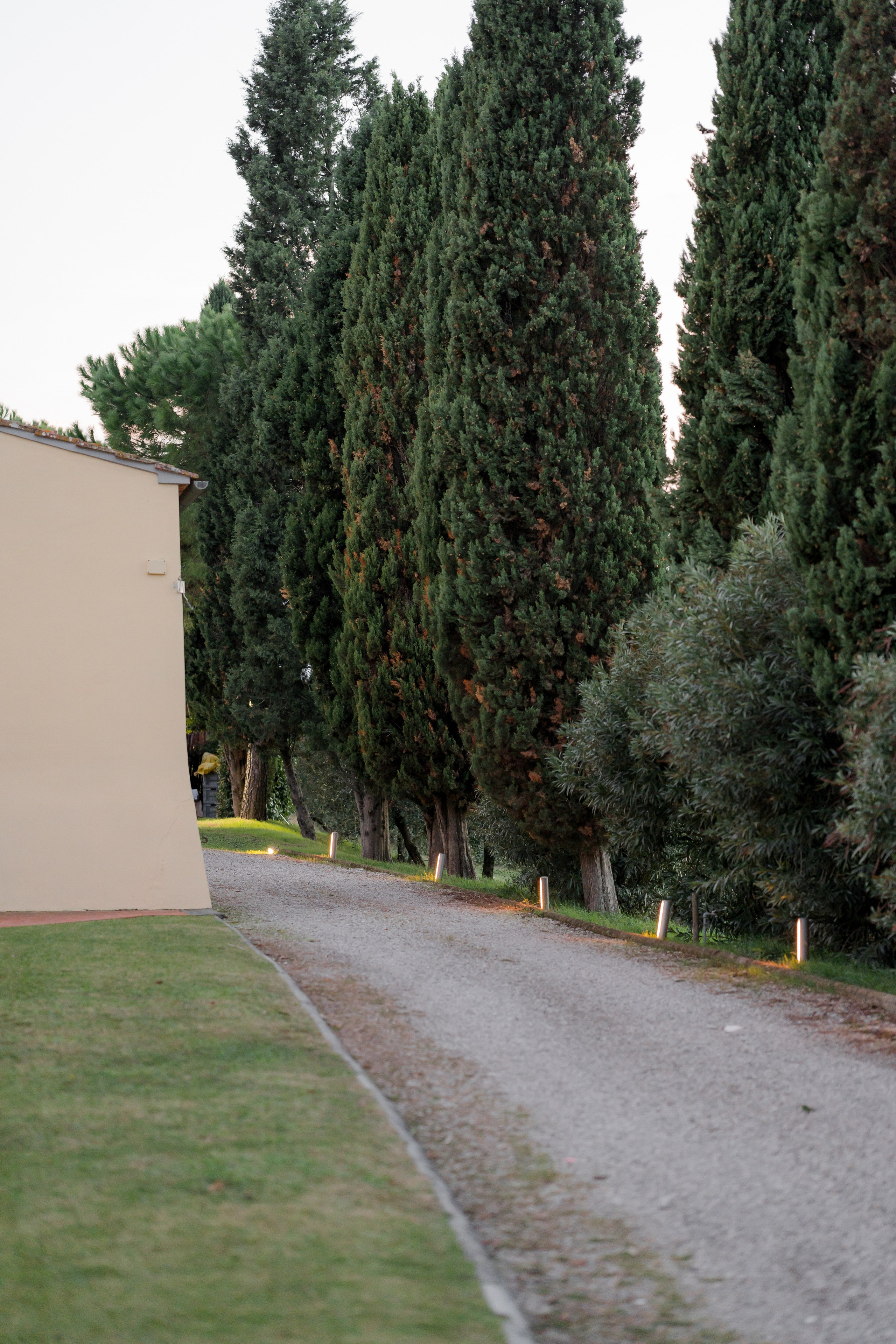 Dom&Ally. Wedding photographer Italy