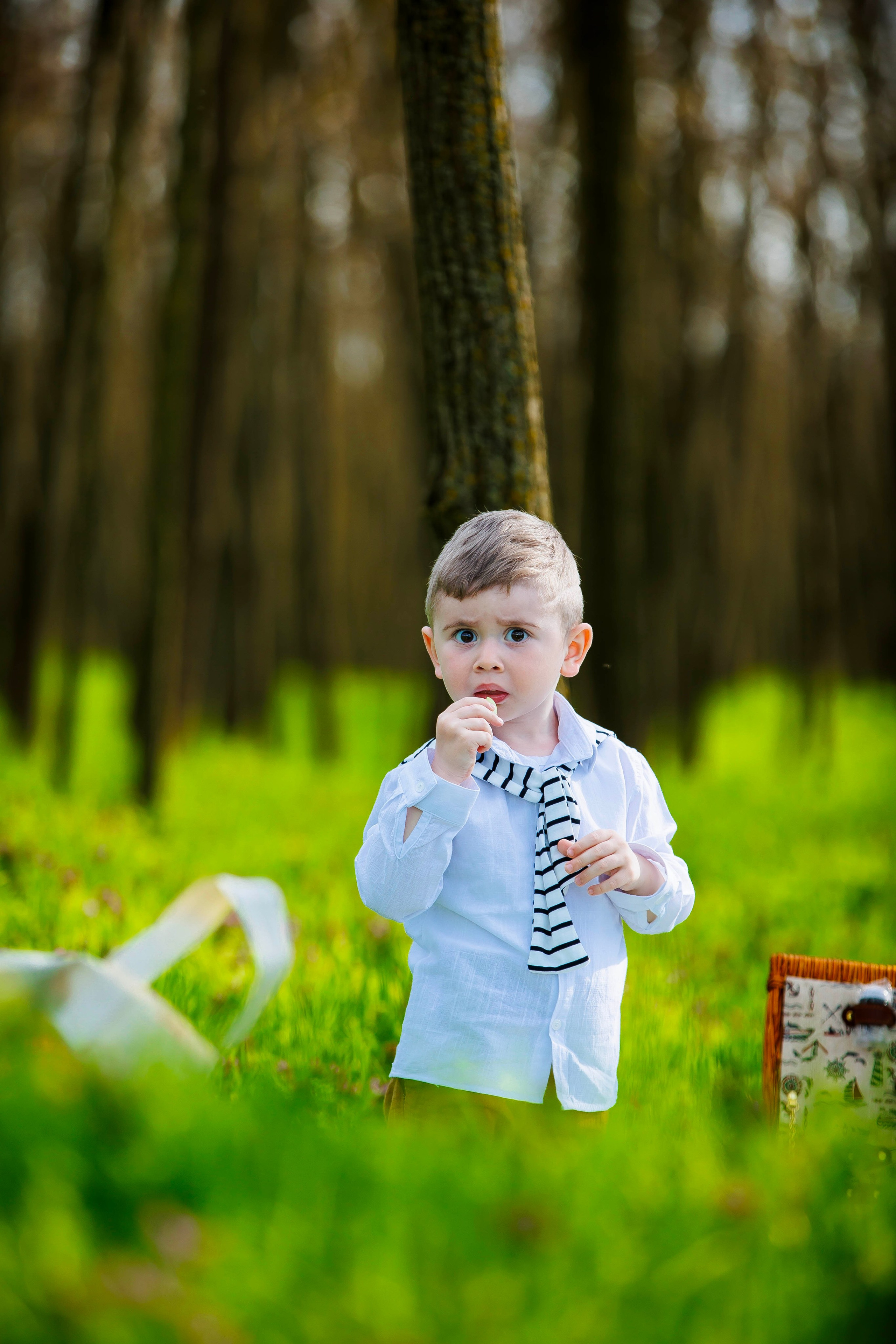 PreWedding. Dream Studio Galați – ședințe foto profesionale pentru familie, portrete și evenimente