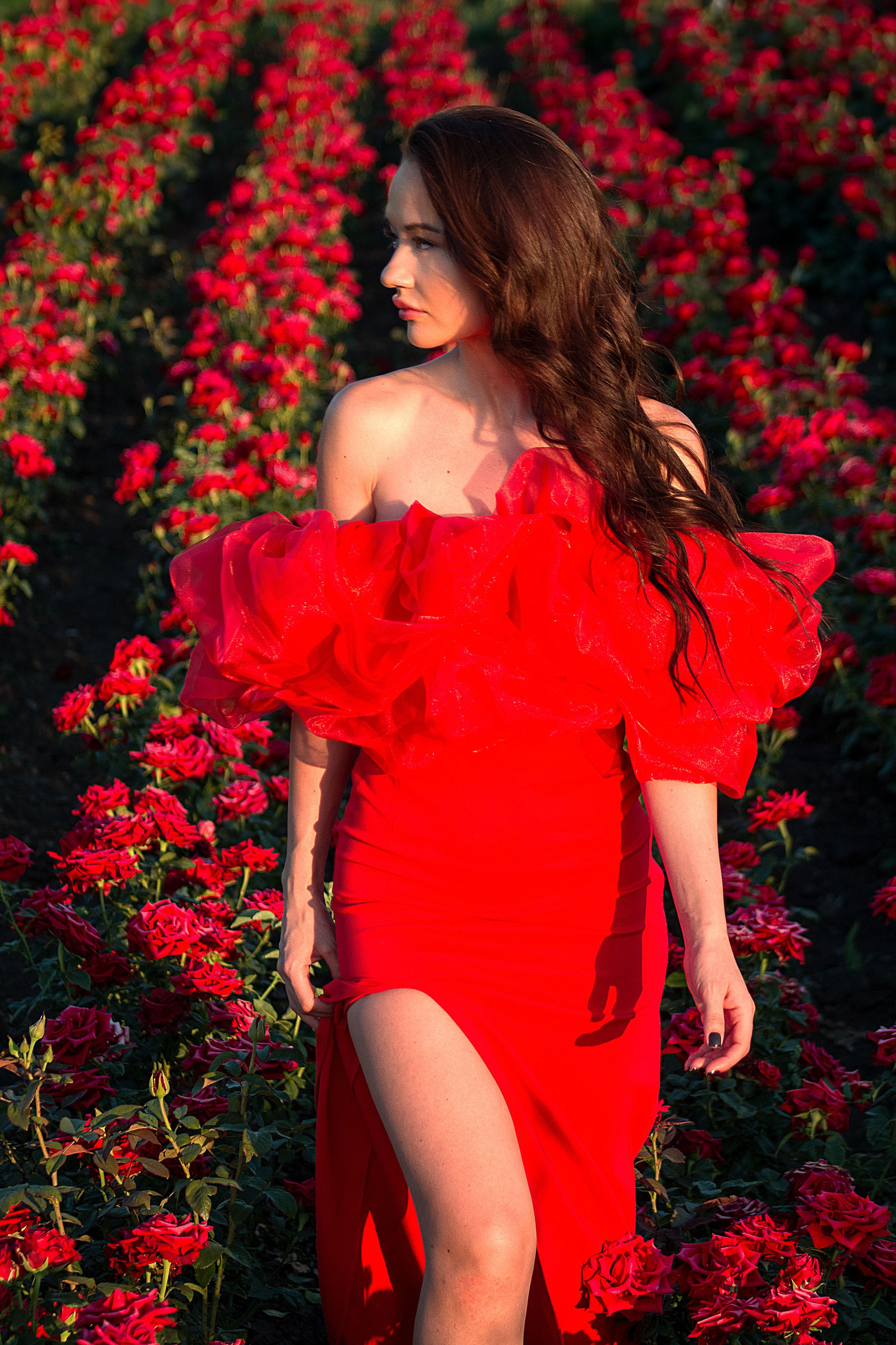 Розы. Детский и семейный фотограф в г. Бельцы