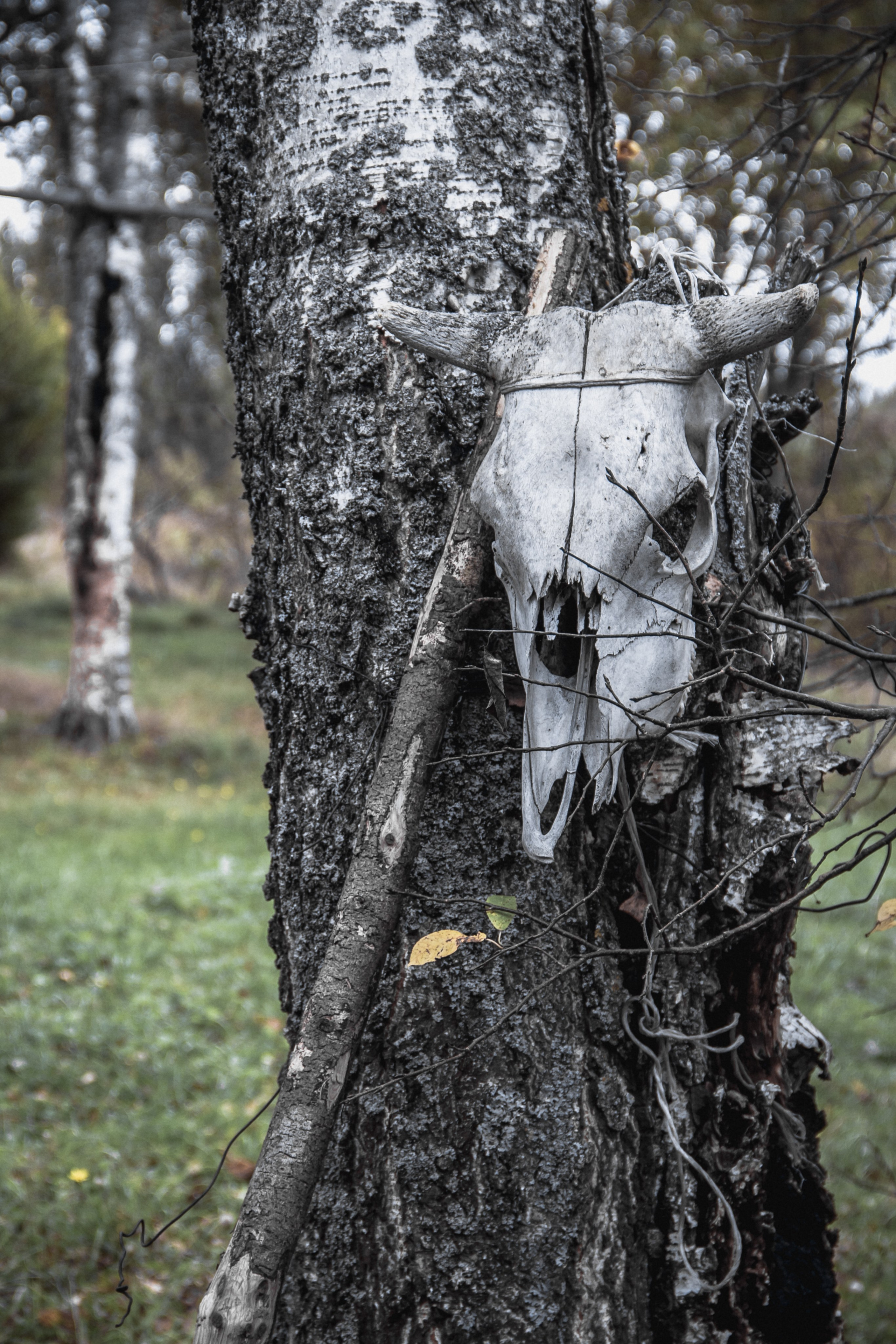 Заброшенная Россия: Мантурово. Фотограф в Германии — Мария Чистякова