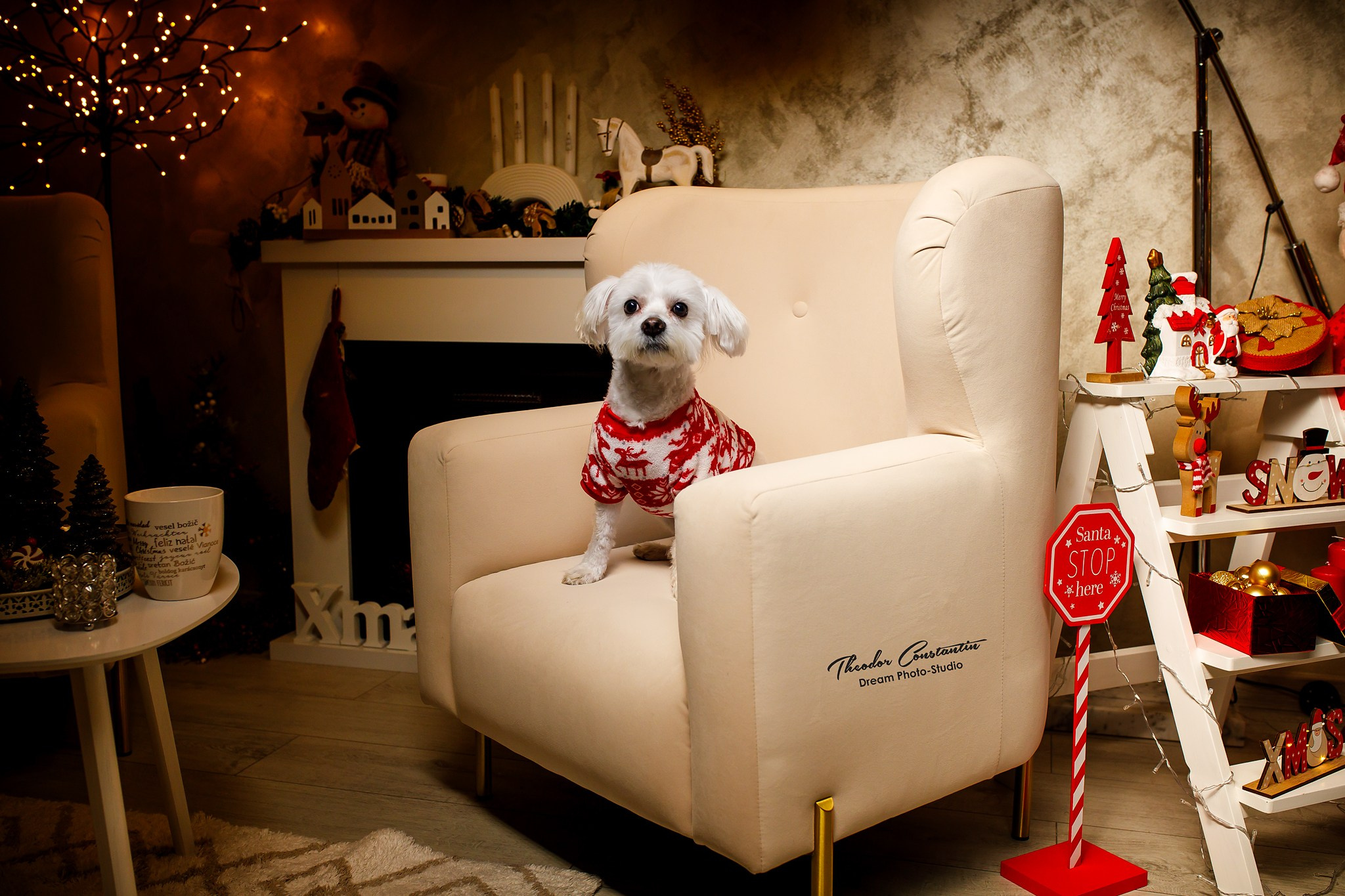 Studio. Dream Studio Galați – ședințe foto profesionale pentru familie, portrete și evenimente