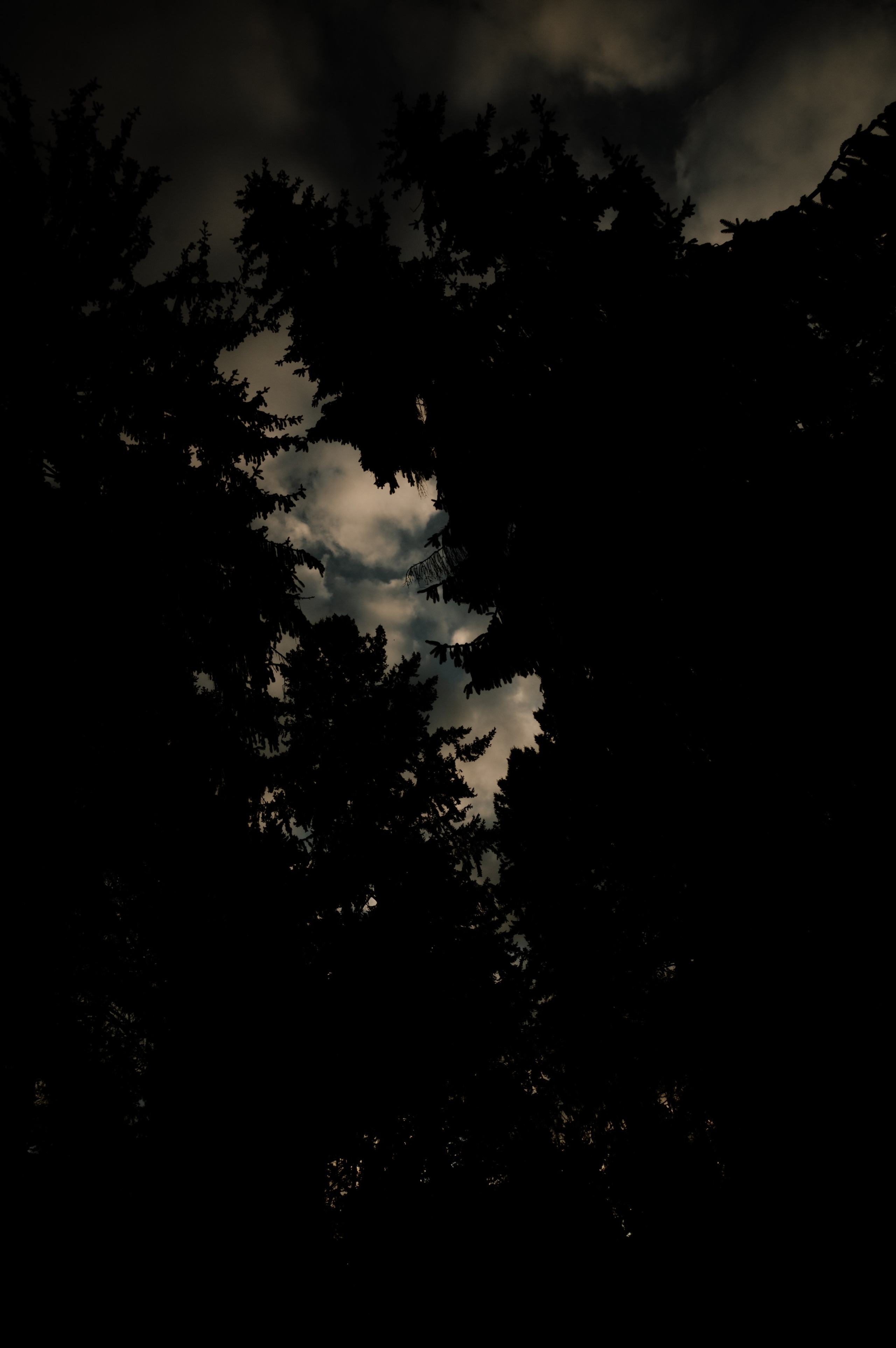 CannaXlife CBD products. ANNA-MARIA PHOTO CONTENT CREATOR — фотограф, естет, художник і візуальний експерт Instagram у Празі