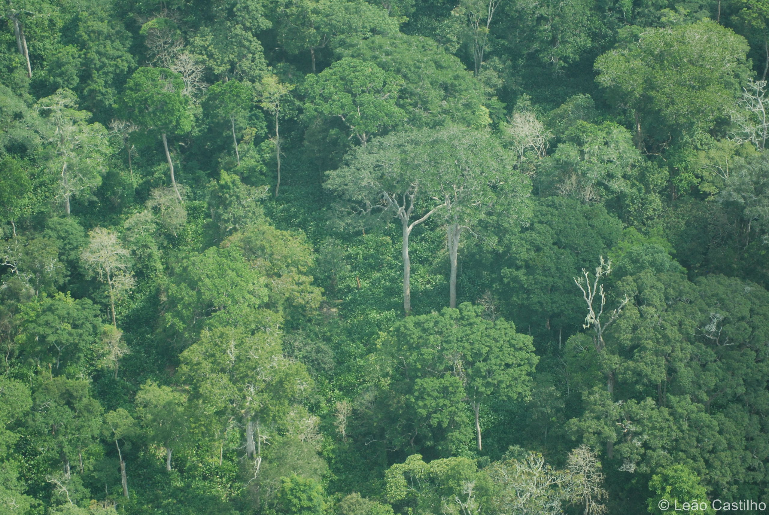 Aerial photos. Simbahalu