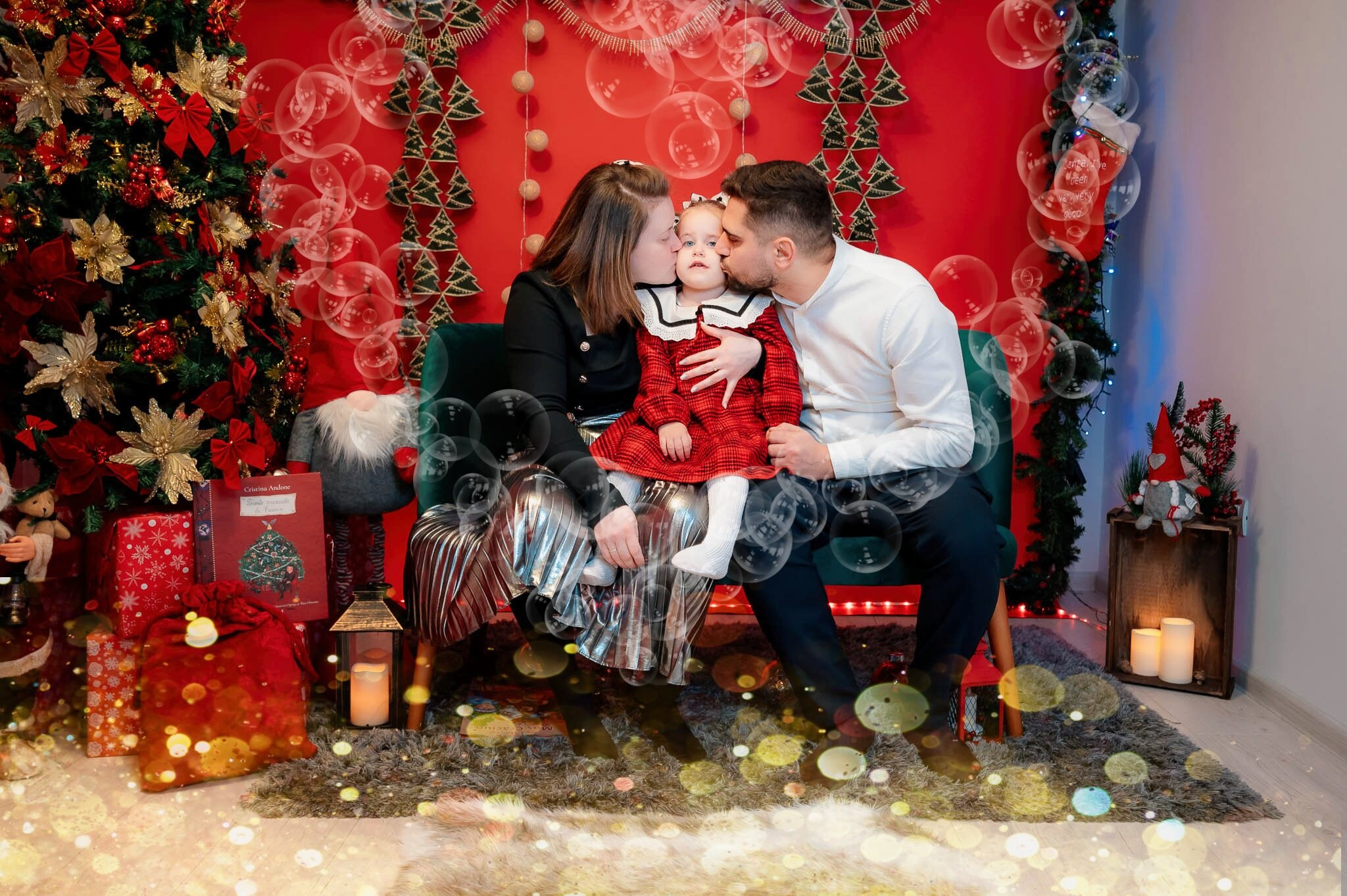 Sedinta Craciun Ioana