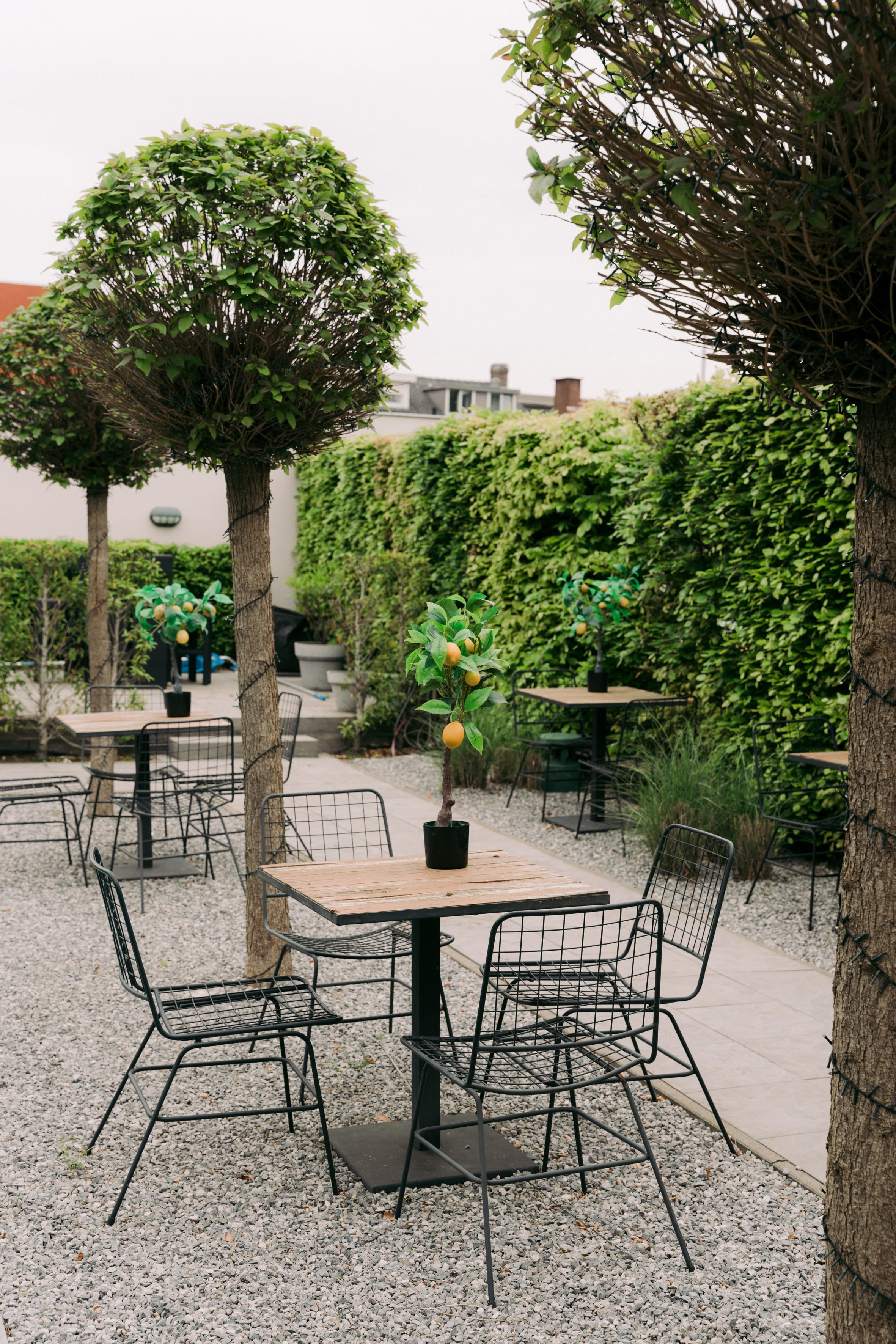 BRANDING SHOOT. Little Birdie – Jouw familie- en huwelijksfotograaf in België en daarbuiten