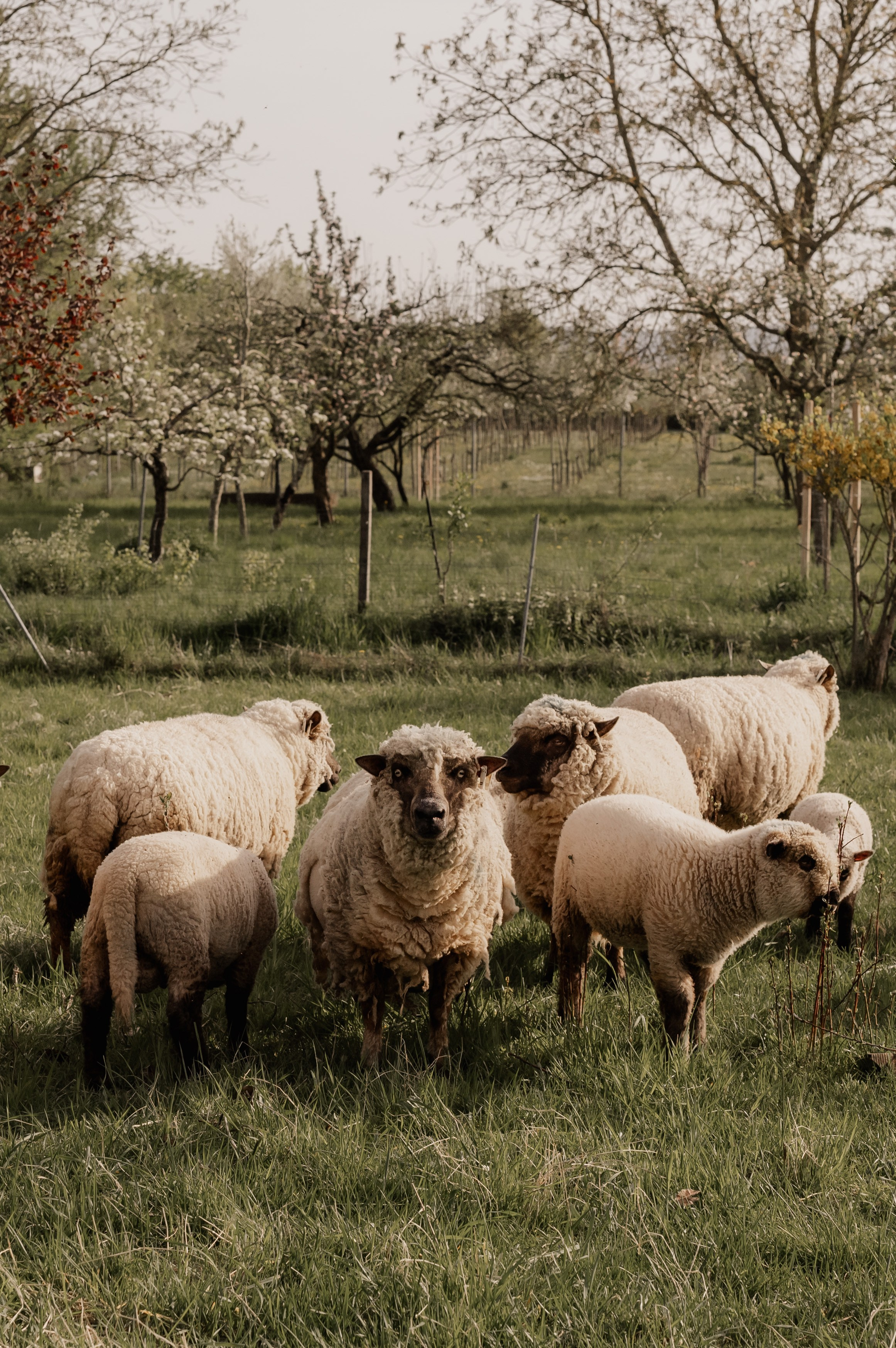 Mother´s day. Photographer in Nuremberg Irina Mehnert from Ansbach
