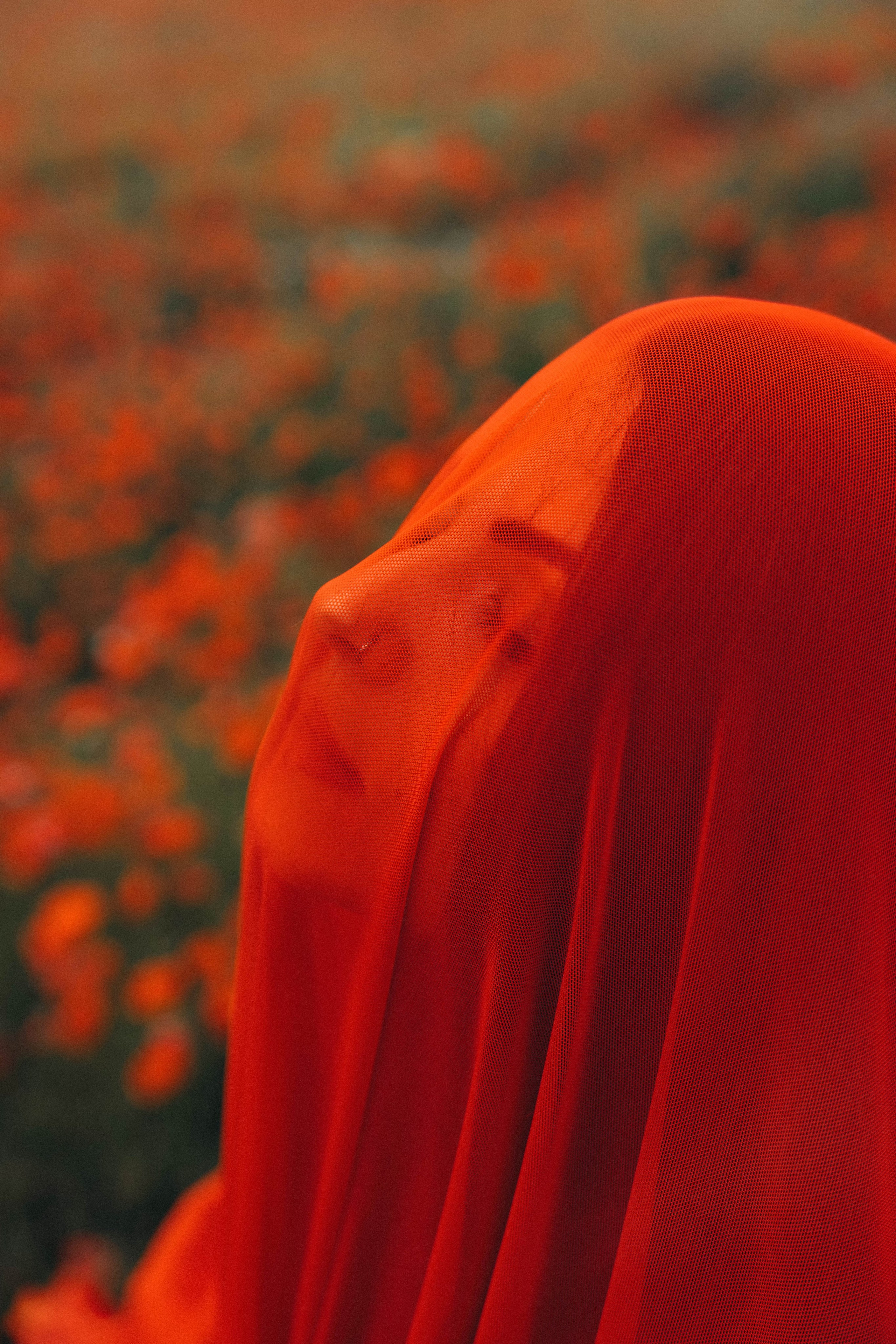 Mák. Fotograf Teplice // Alexandra Ribola