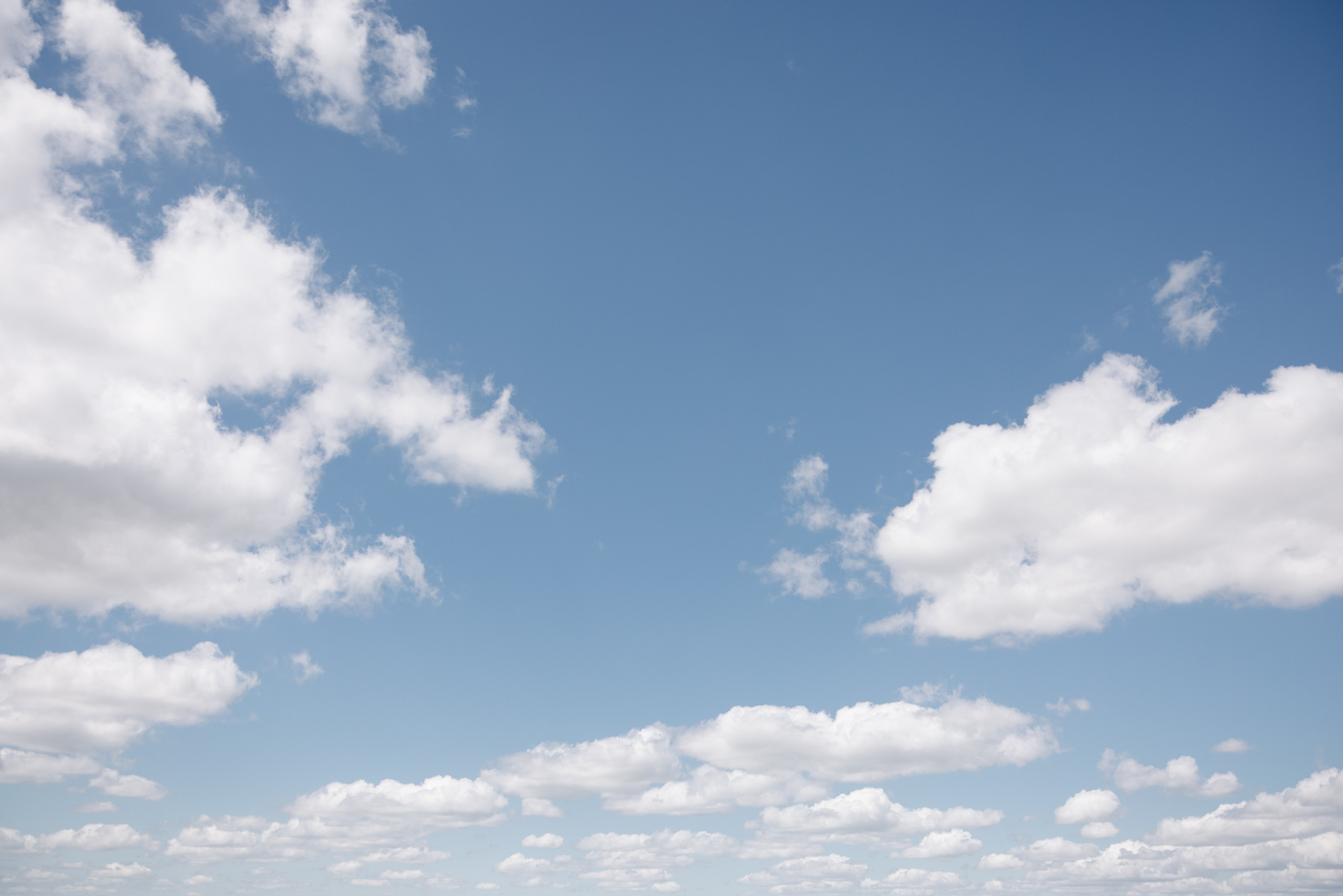 2. Весільний фотограф Вікторія Саврук