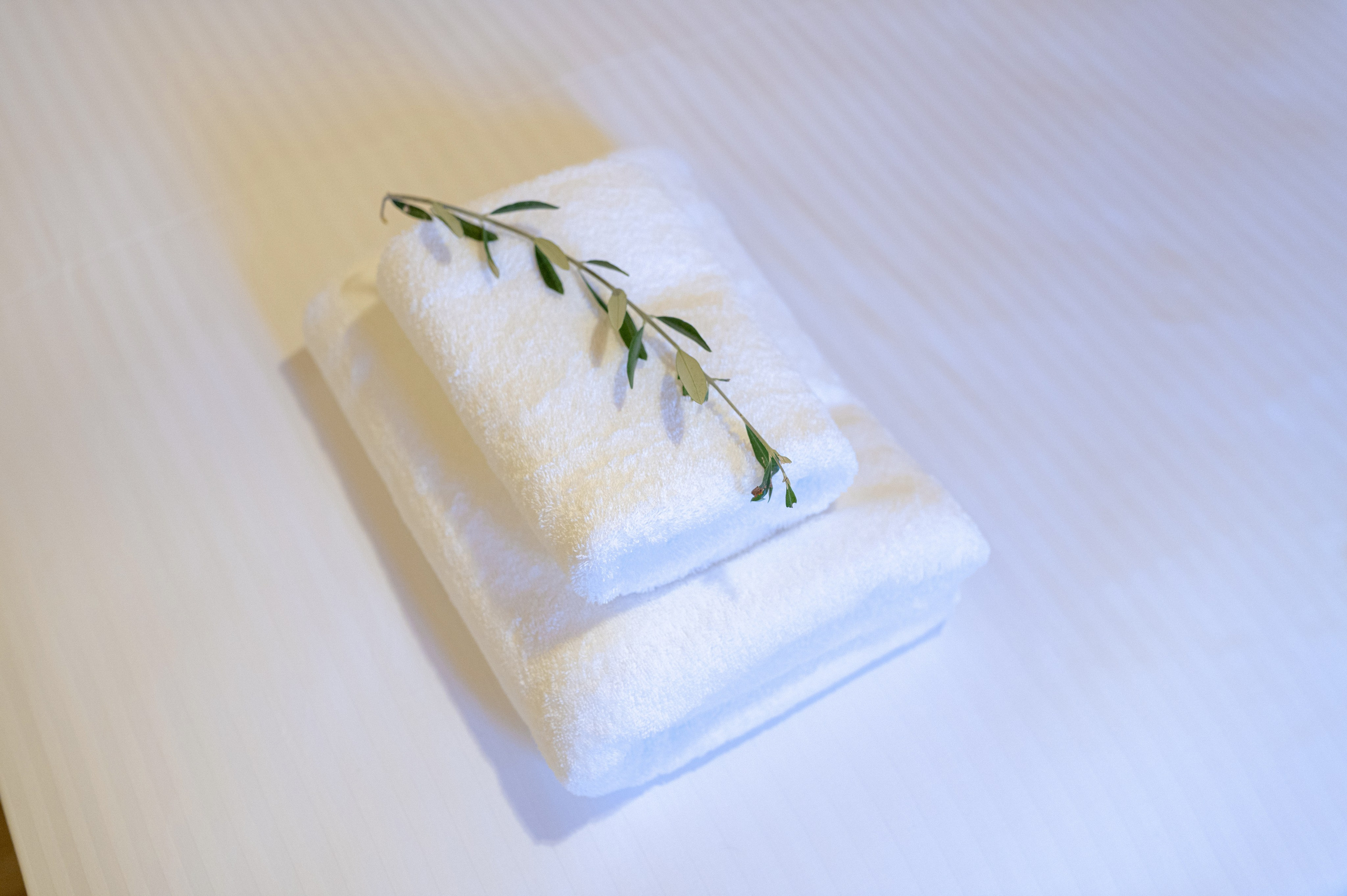 Plagia Stone studio. Photograper in Chania, Crete