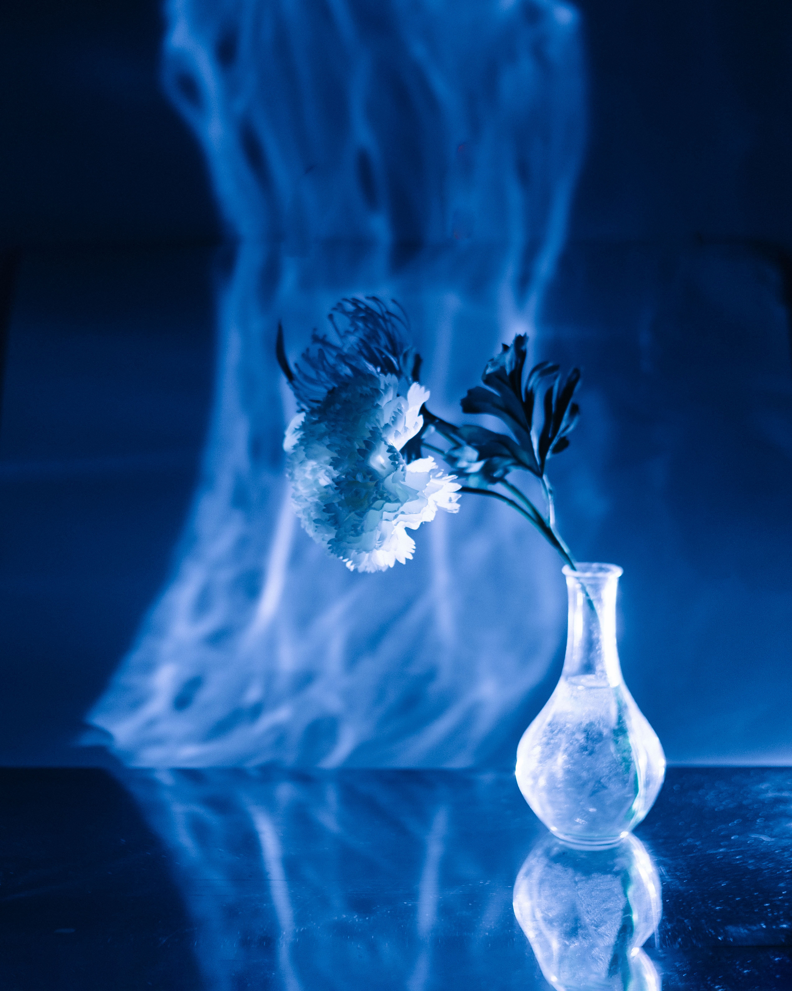 Still life. Hey, that’s me, sarah