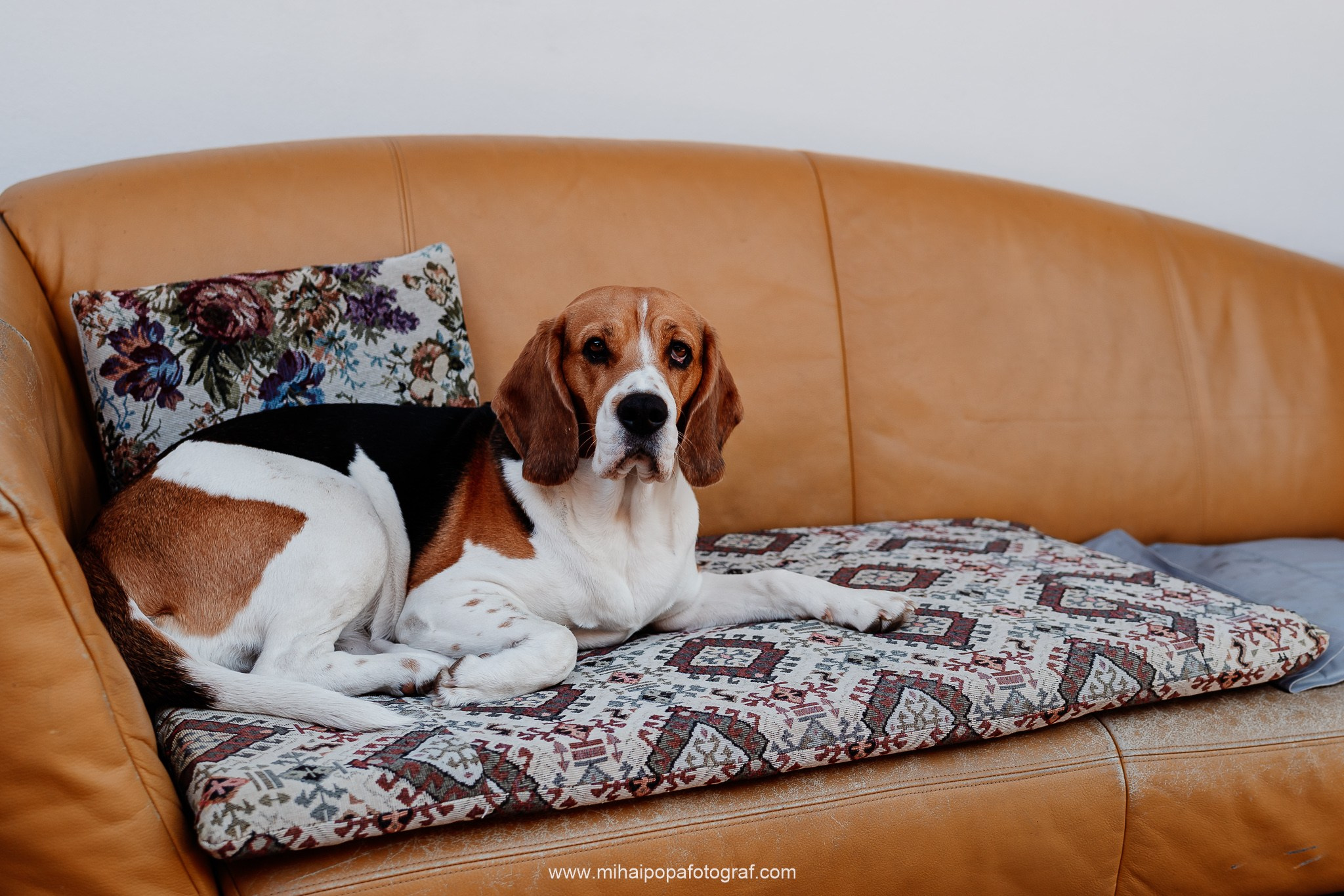 Fotograf de nuntă în Râmnicu Vâlcea | Mihai Popa Fotograf. Fotograf Nuntă & Botez București - Mihai Popa | Dincolo de oameni, imortalizez emoții!