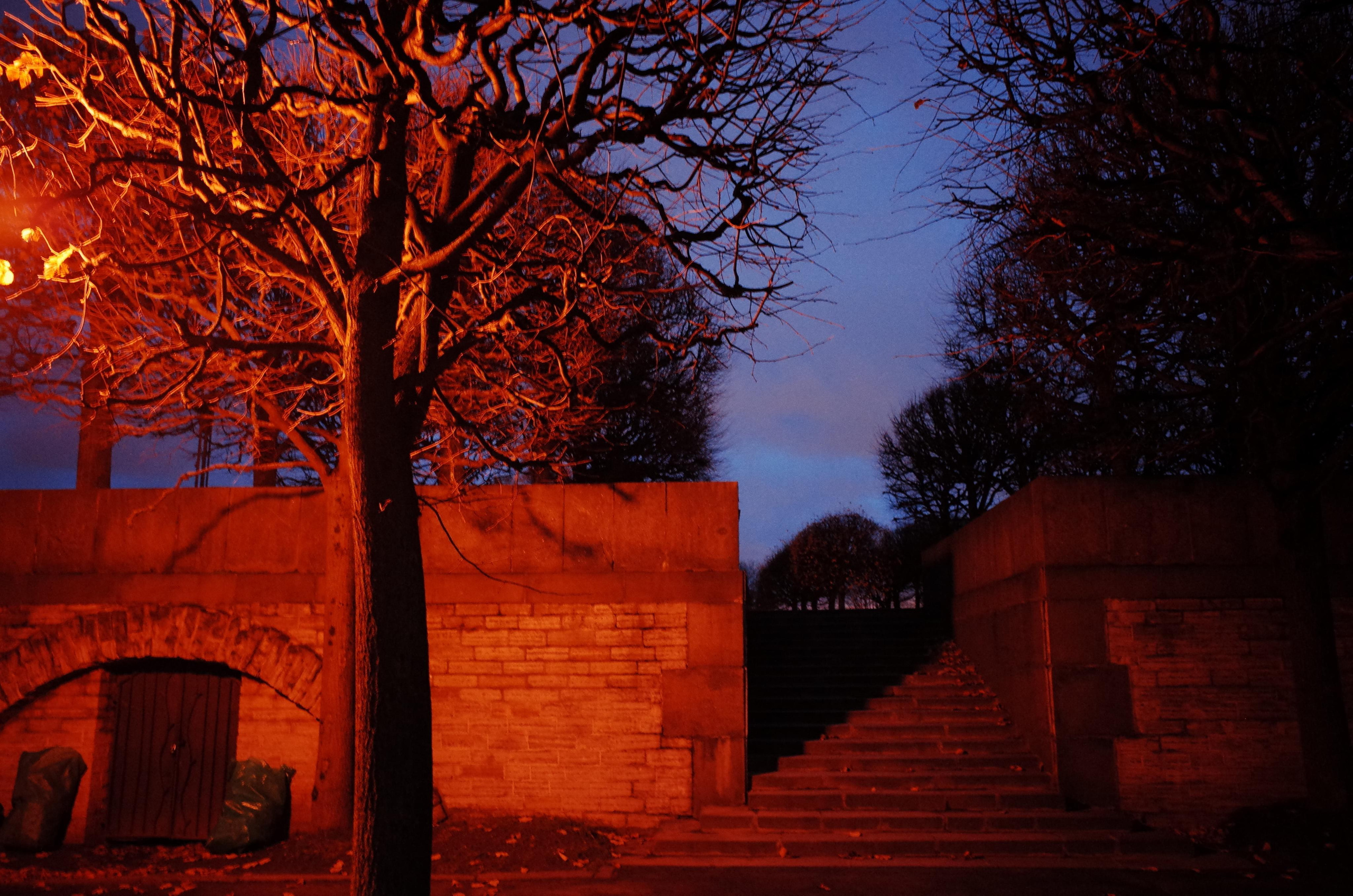 Водный ветер господина Петера. Виктория Дини. Арт-фотография