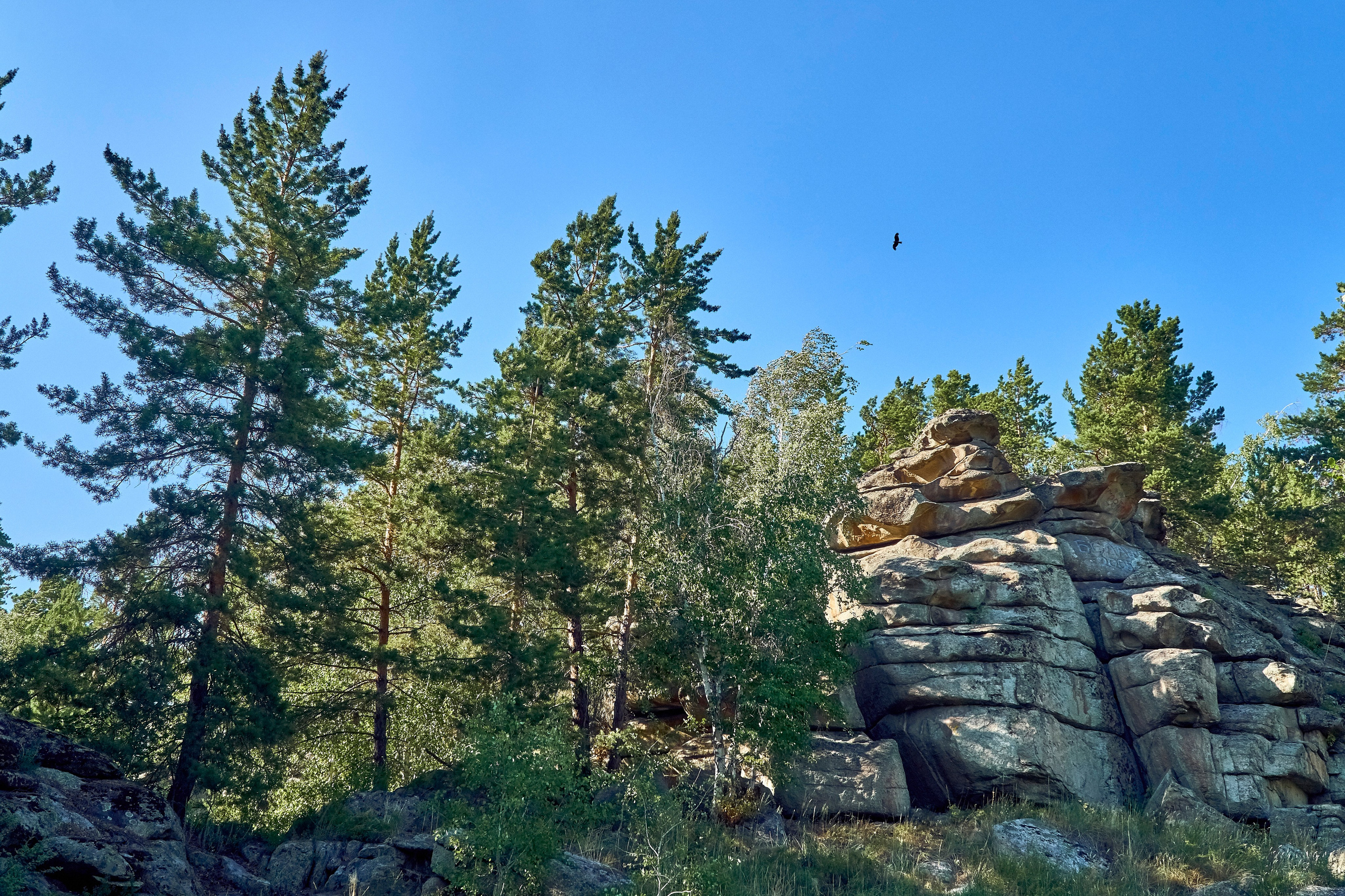 Бухтарма. Андрей Шипилов — Фотография & Видеография