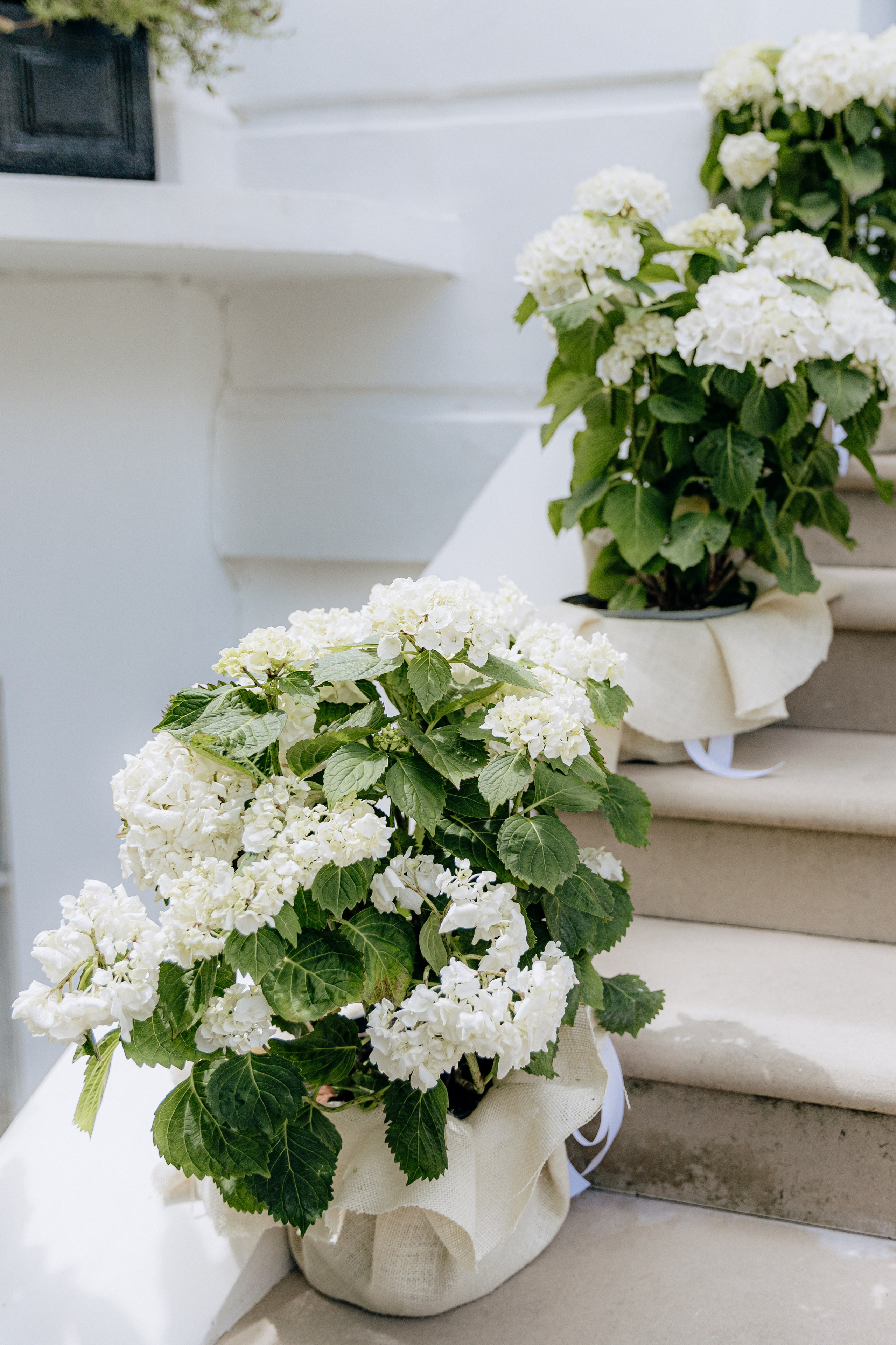 Elegant Wedding Photo Gallery. Timeless Wedding & Event Photography — based London, working across Europe