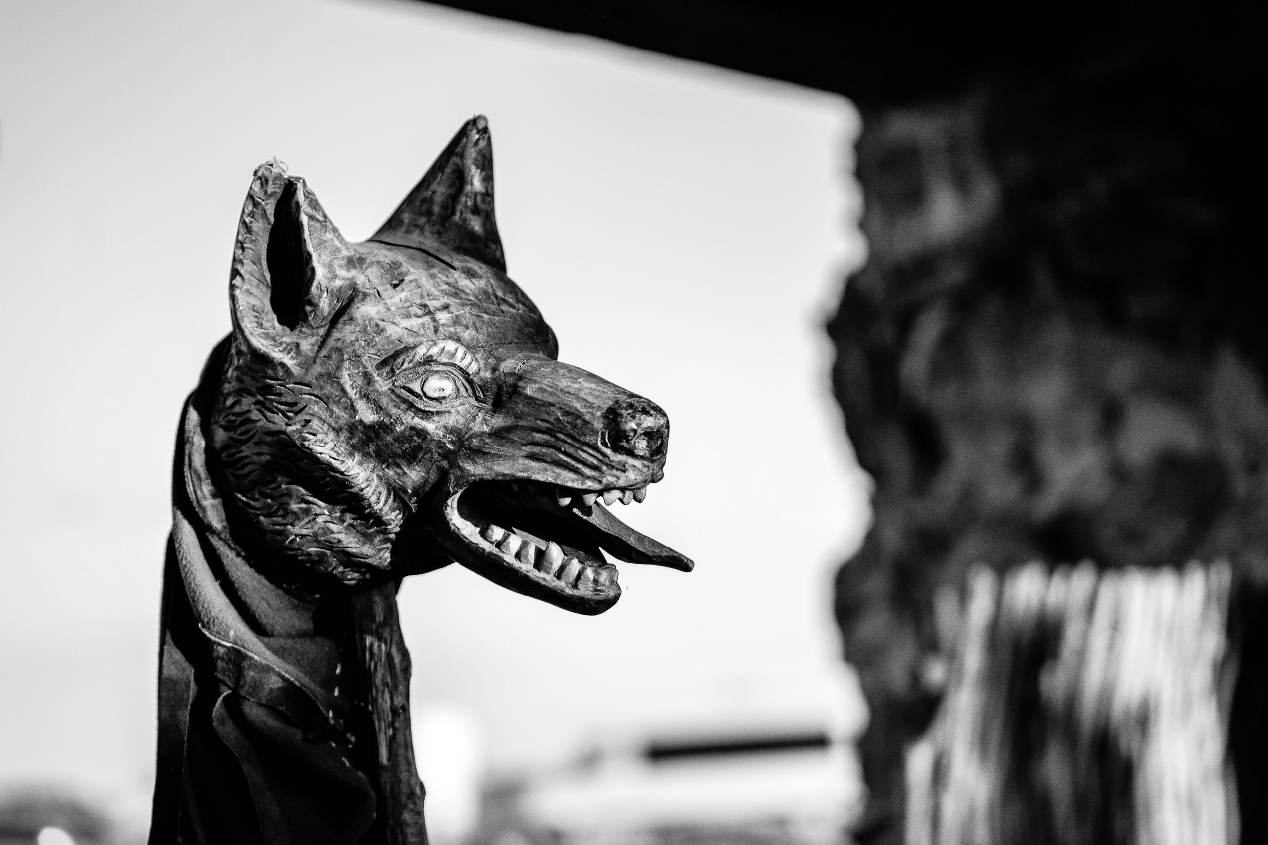 Festivalul GETODAVA - Iasi