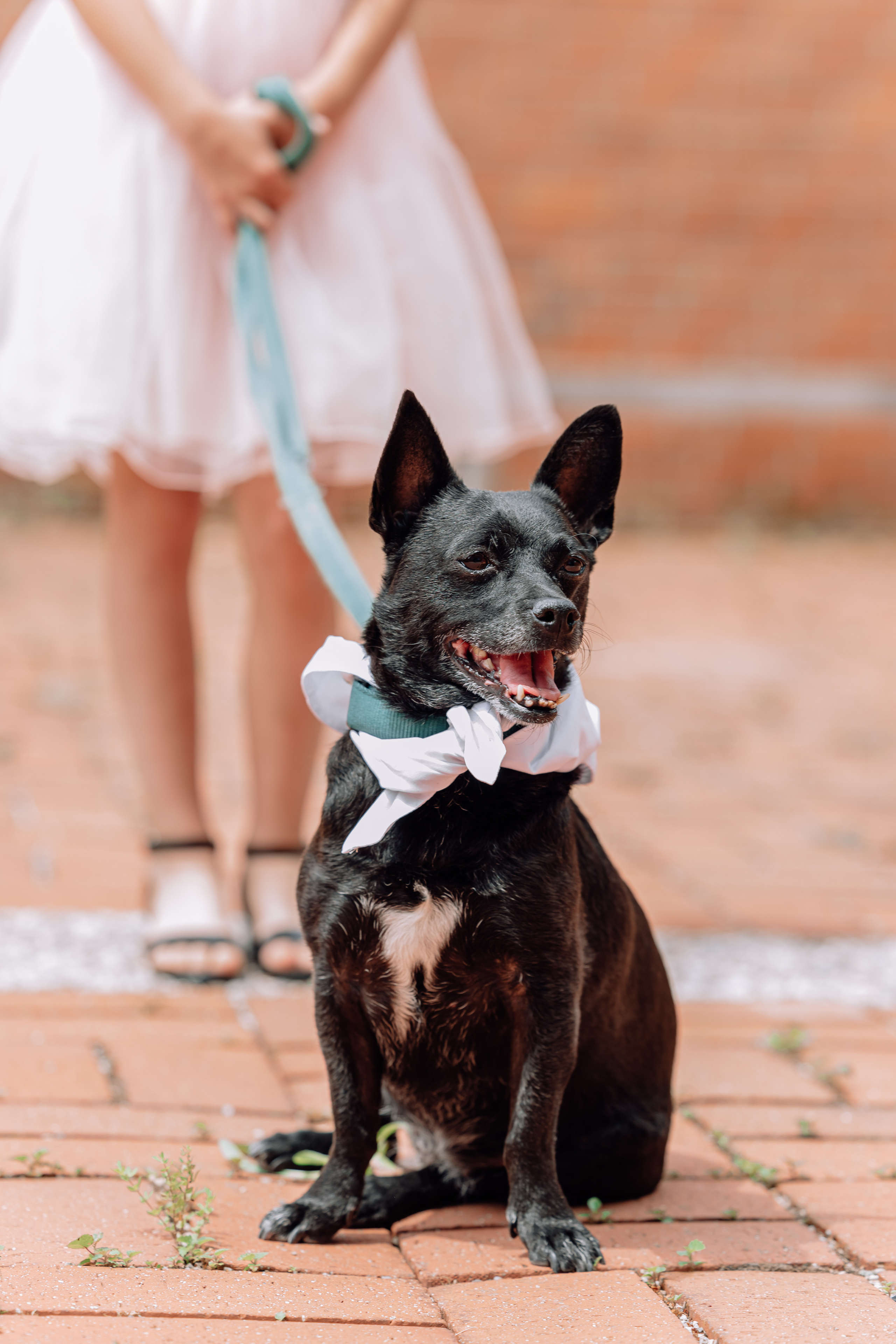 Kirchliche Trauung. Hochzeitsfotograf München Taufe Familienfotograf Tanja Mauke